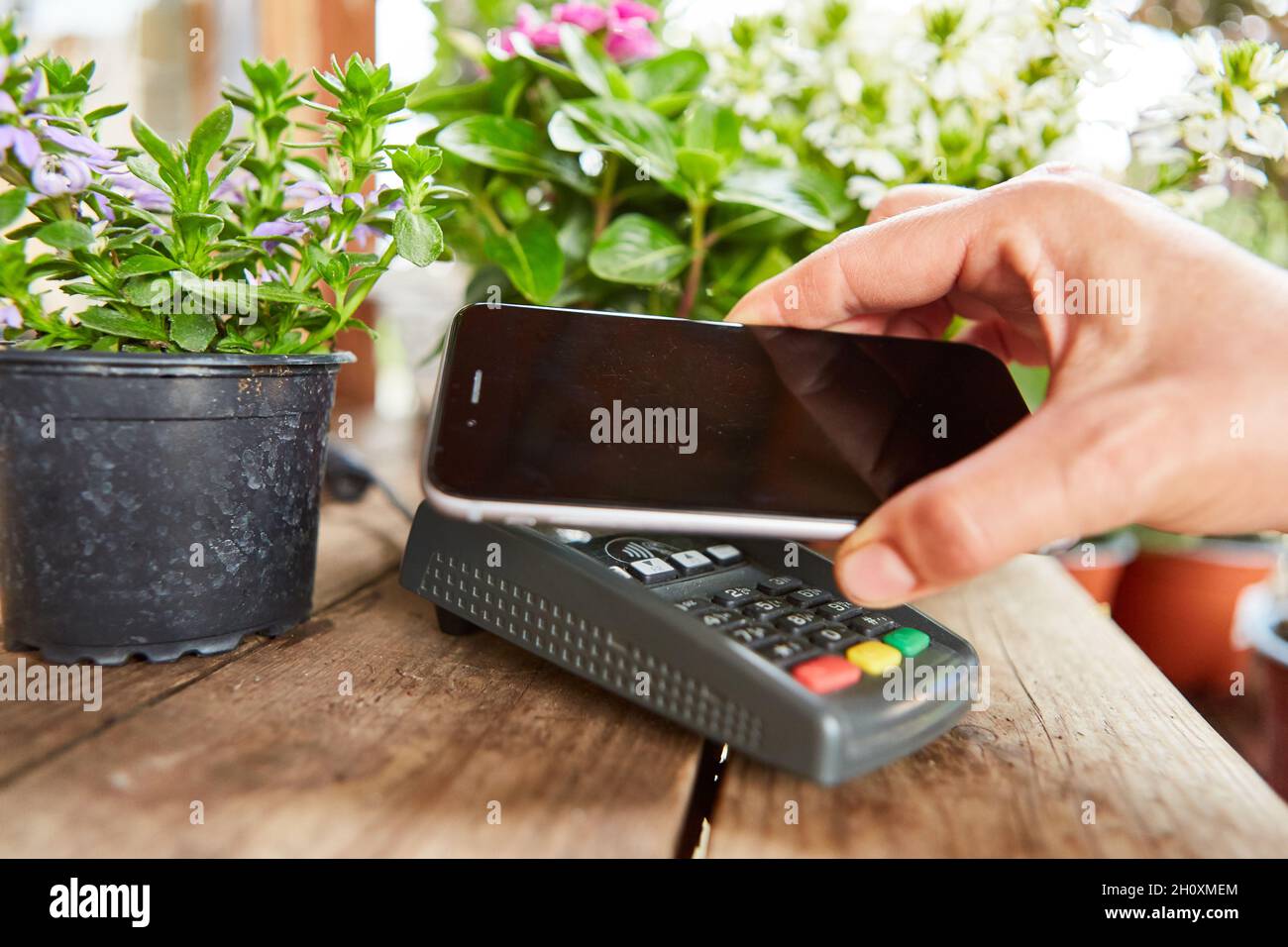 Mobile Bezahlung mit Smartphone-App an der Kasse im Blumenladen oder Gartencenter Stockfoto