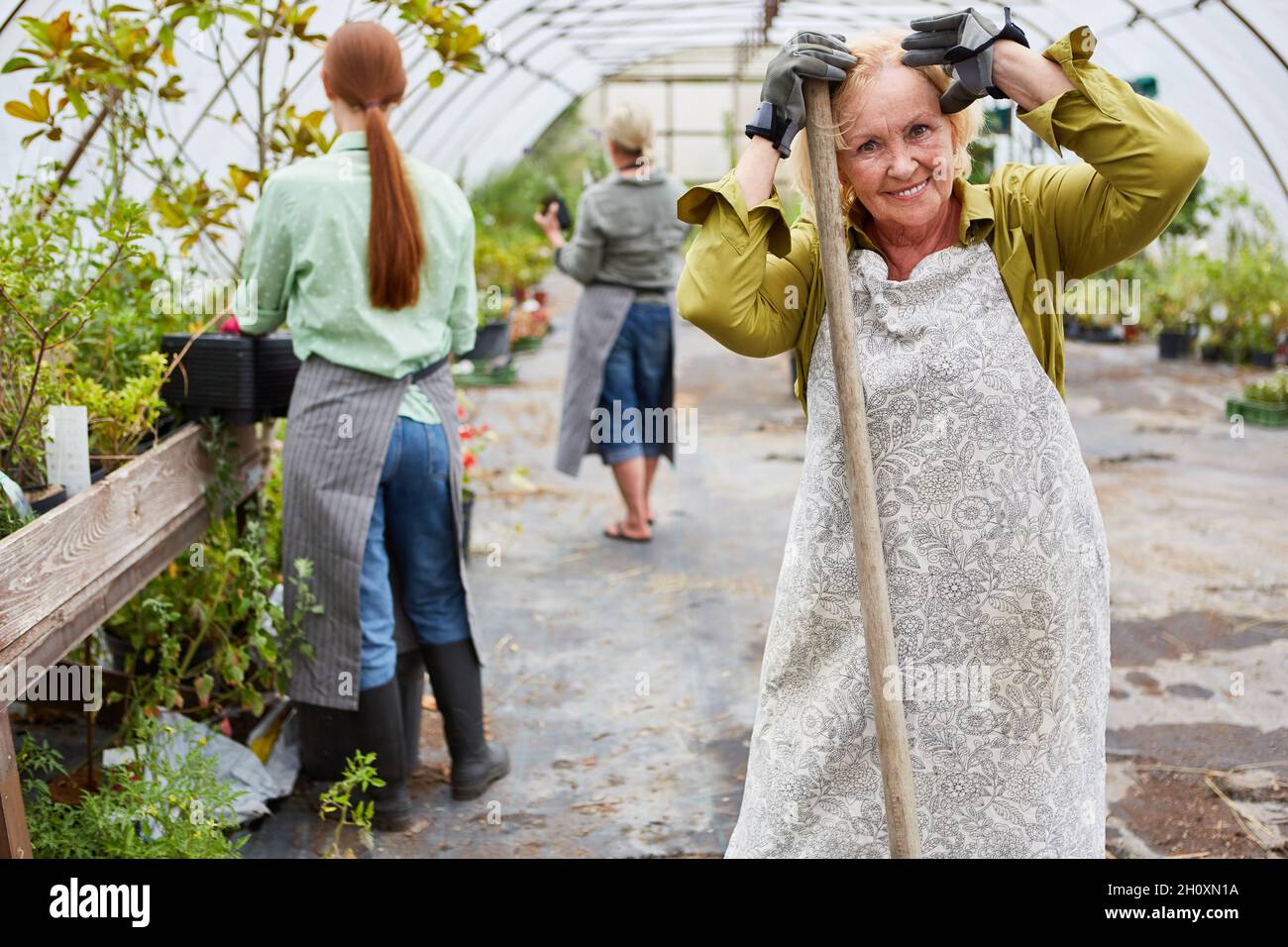 Seniorgärtner und Kollege arbeiten im Gewächshaus im Gartencenter zusammen Stockfoto