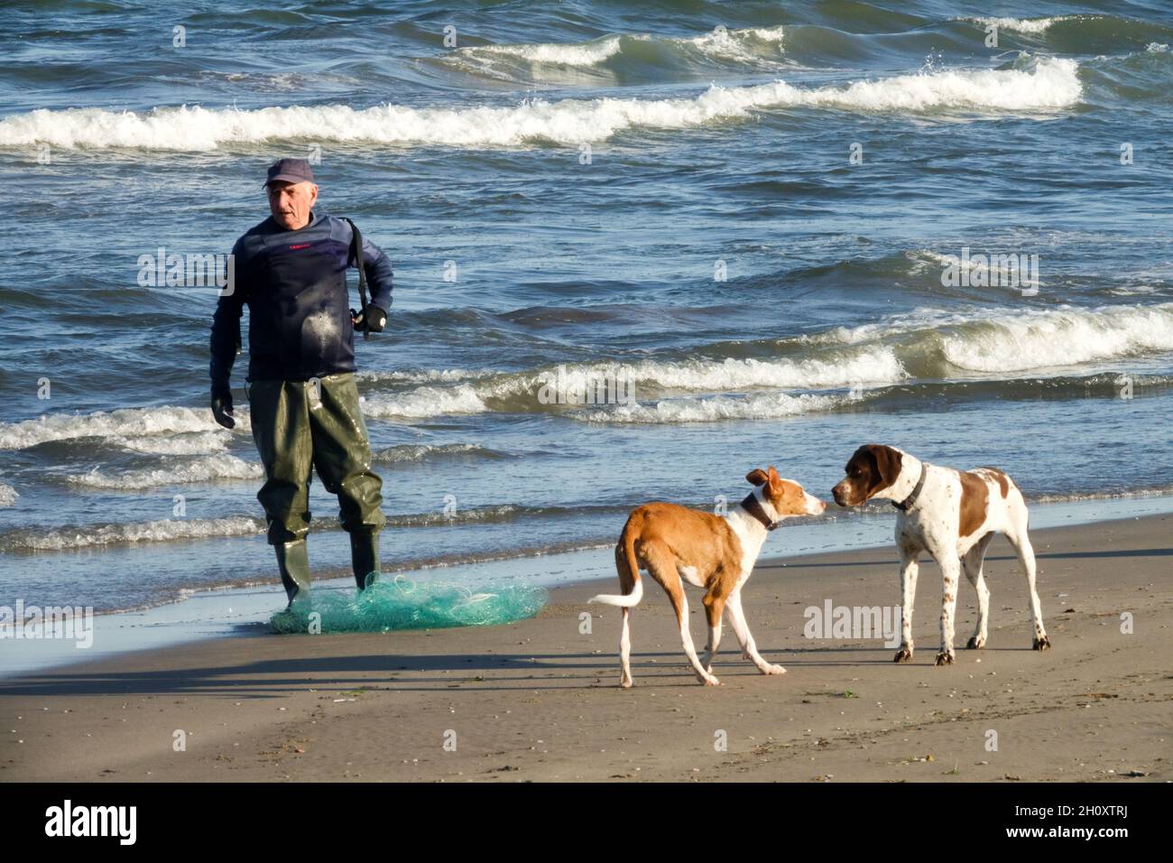 Zwei Hunde am Strand und alter Fischer mit Netz, Hundestrand Spanien Stockfoto