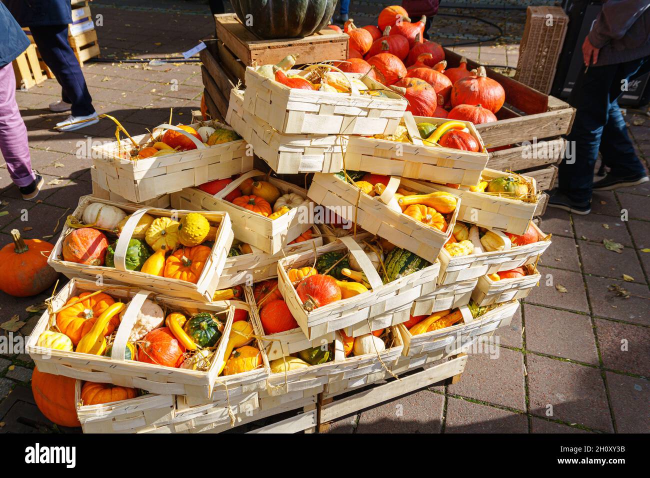 Cürbisse on a Herbstmakt im Oktober Stockfoto