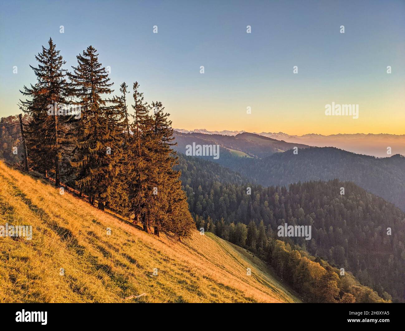 Wunderschöner Sonnenuntergang im Herbst. Schnebelhorn, Zürich. Die Sonnenstrahlen erleuchten die Wiese und die Bäume. Blick auf die alpen Stockfoto