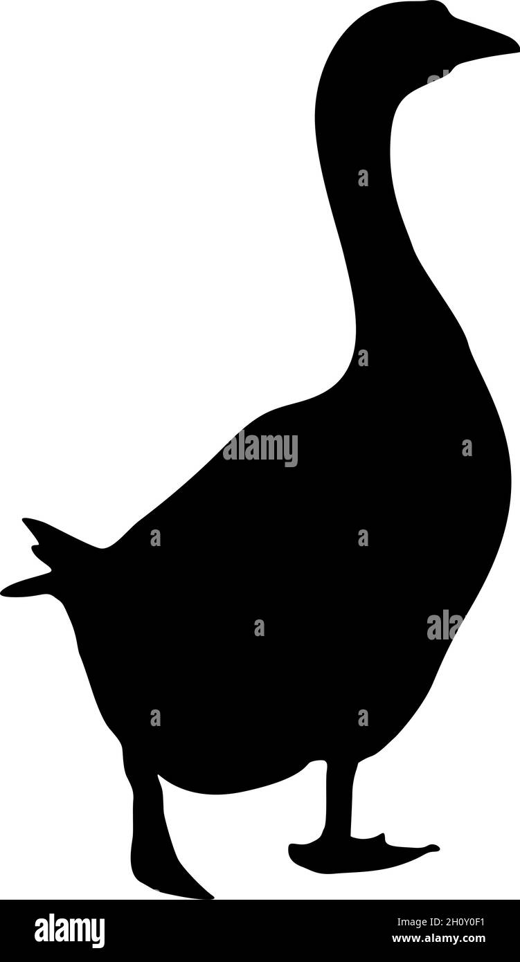 Silhouette einer grauen Gans auf weißem Hintergrund. Stock Vektor