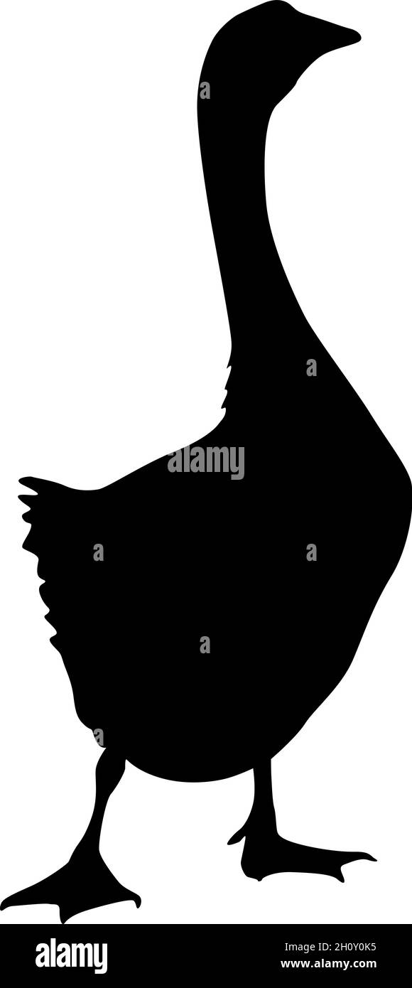 Silhouette einer grauen Gans auf weißem Hintergrund. Stock Vektor