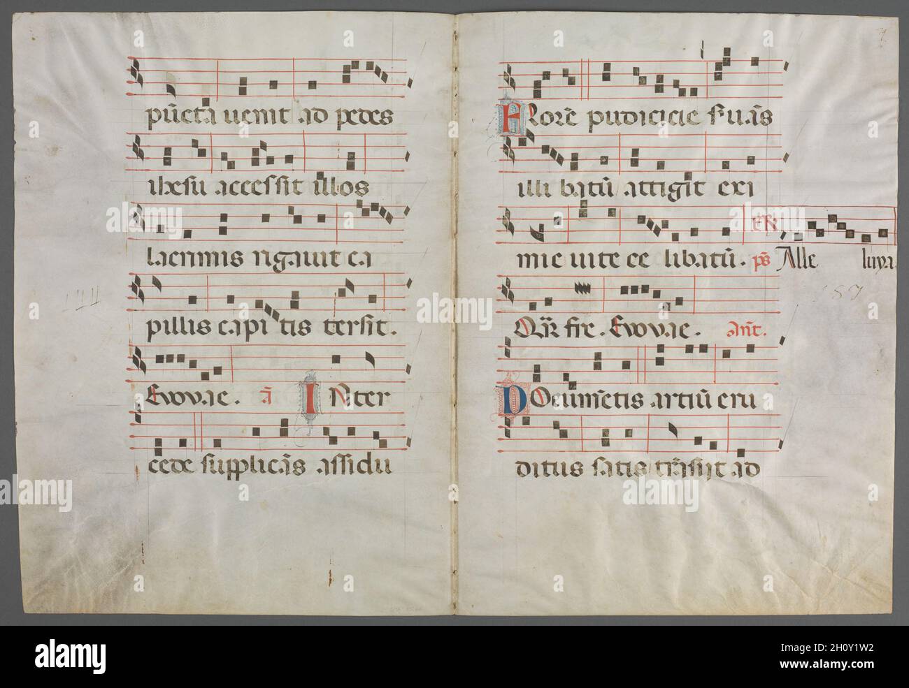 Bifolium aus einem Antiphonar: Musik, c. 1320-1340. Primo Miniatore di San Domenico (Italienisch). Tinte, Tempera und Gold auf Pergament; Blatt: 51 x 37.7 cm (20 1/16 x 14 13/16 Zoll). Die Darstellung des Heiligen Dominikus (1170–1221), des Gründers des Dominikanerordens der Prediger, in dieser Initiale deutet darauf hin, dass diese Doppelseite einmal Teil eines Manuskripts war, das für ein Dominikanerkloster angefertigt wurde. Der heilige Dominikus reiste viel und predigte durch ganz Europa und wurde besonders in Bologna verehrt, der Stadt, in der er starb und begraben wurde. Der Illuminator dieser Initiale ist nach einem von ihm dekorierten Band benannt Stockfoto