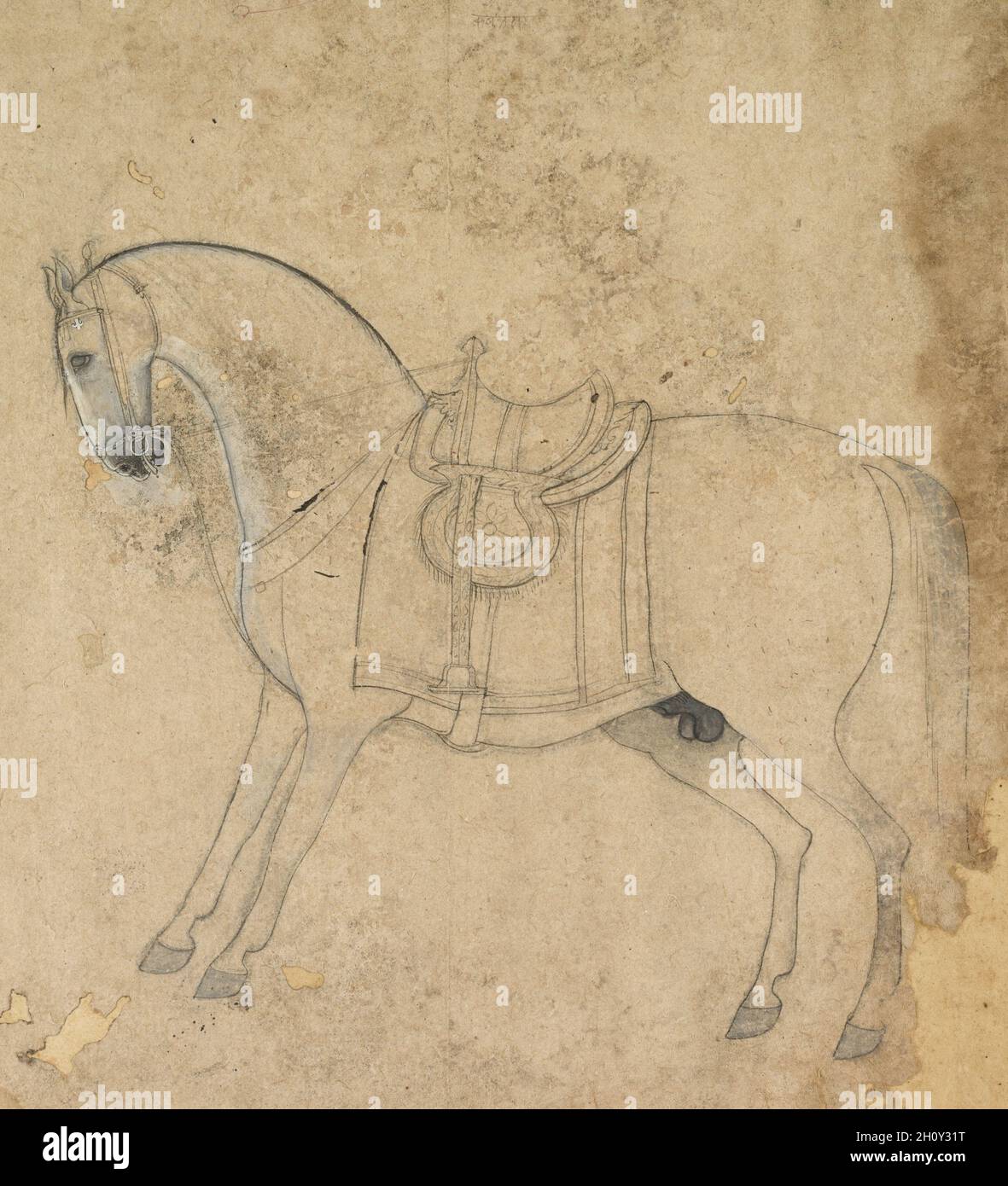 Ein gesattelte Pferd, C. 1750. Indien, Pahari, Jammu, 18. Tusche auf Papier; gesamt: 24,5 x 21,5 cm (9 5/8 x 8 7/16 in.). Stockfoto