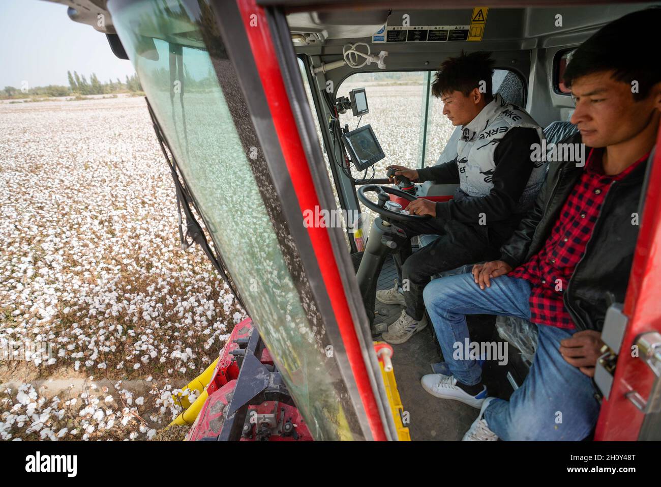 (211015) -- YULI, 15. Oktober 2021 (Xinhua) -- Arbeiter betreiben einen Baumwollpflücker, um Baumwolle auf Feldern im Bezirk Yuli, nordwestlich der Autonomen Region Xinjiang Uygur in China, zu ernten, 12. Oktober 2021. Die Baumwollernte begann im Oktober in Xinjiang. Xinjiang ist das größte Baumwollanbaugebiet in China. Die Baumwollproduktion in der Region erreichte 5.16 2020 Millionen Tonnen, was 87.3 Prozent der Gesamtmenge des Landes ausmacht, sagte das Nationale Statistische Büro. Daher hat die Region die Baumwollbauern dazu ermutigt, moderne Landmaschinen anzuwenden, um die Entwicklung der Branche in rec anzukurbeln Stockfoto