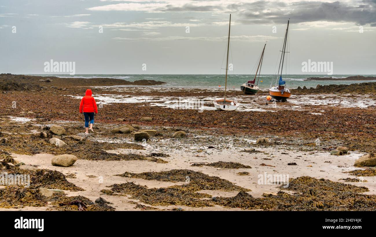 Eine Frau in einer orangefarbenen Jacke, die an einem felsigen Strand in Rhosneigr, Anglesey, Wales, Großbritannien, läuft Stockfoto