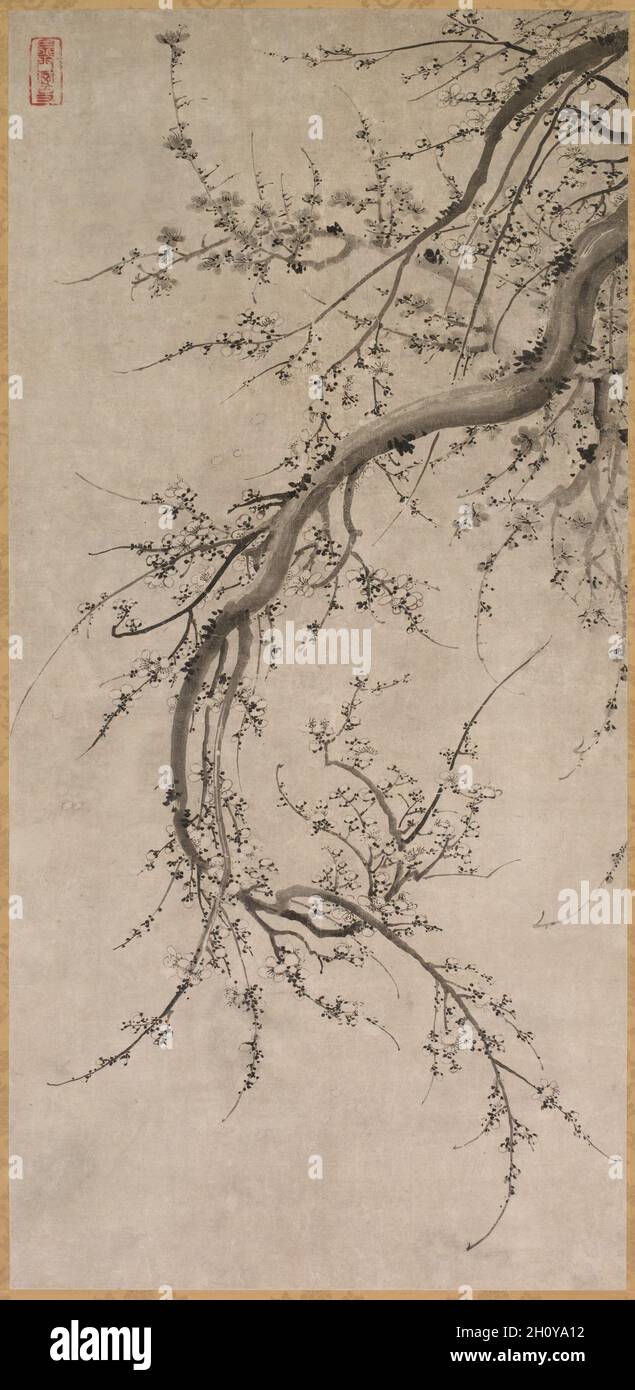 Prunus, Mitte bis Ende des 16. Jahrhunderts. Kano Einō zugeschrieben (japanisch, 1631-1697). Hängende Schriftrolle; Tinte auf Papier; nur für Malerei: 125 x 60.5 cm (49 3/16 x 23 13/16 Zoll); einschließlich Befestigung: 224.6 x 81.9 cm (88 7/16 x 32 1/4 Zoll). Stockfoto