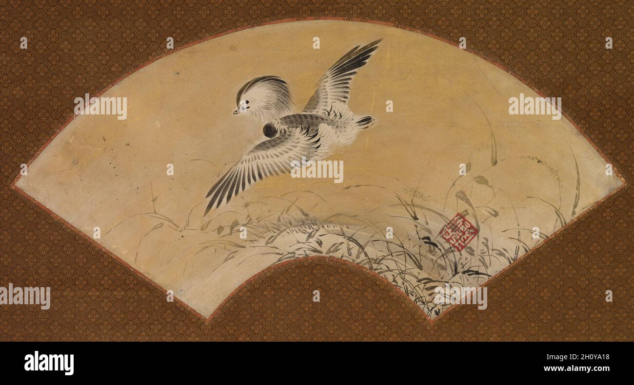 Ente im Flug, Mitte 1500. Shikibu Terutada (japanisch, aktiv Mitte 1500). Fächergemälde als hängende Schriftrolle montiert; Tinte und Gold auf Papier; Malerei: 25 x 50.2 cm (9 13/16 x 19 3/4 in.); montiert: 99.8 x 65.2 cm (39 5/16 x 25 11/16 in.). Diese drei fächerförmigen Gemälde, die jetzt als einzelne hängende Rollen montiert sind, waren einst Teil eines Sets von 20 auf einem Klappbildschirm montiert. Sie stellen die chinesischen Untertanen des Gelehrten Pan lang von links nach rechts dar, Hanshan rezitierte seine Gedichte an Shide und eine Ente, die über dem Schilf geflohen ist. Pan lang wurde so begeistert von dem Berg an seinem Ort des Exils, dass whe Stockfoto