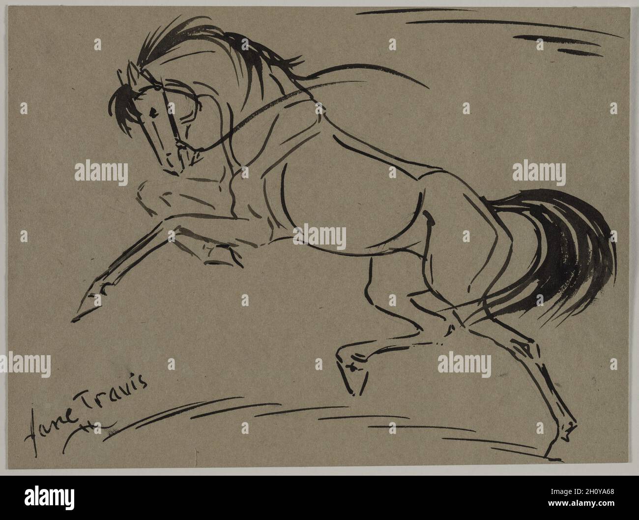 Tanzendes Pferd, c. 1900–1944. Jane Travis (Amerikanerin). Pinsel und schwarze Tinte; Bild: 22.2 x 29 cm (8 3/4 x 11 7/16 Zoll). Stockfoto