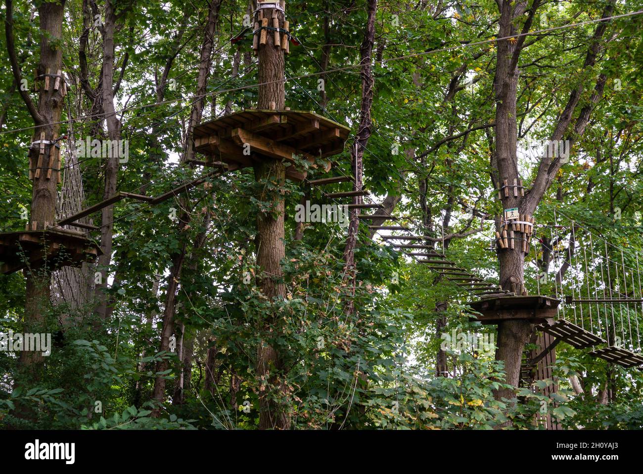 Go Ape Alexandra Palace Adventure Park mit Treetop Adventure, Zip Lines und High Sropes Alexandra Palace Park, London, Großbritannien Stockfoto
