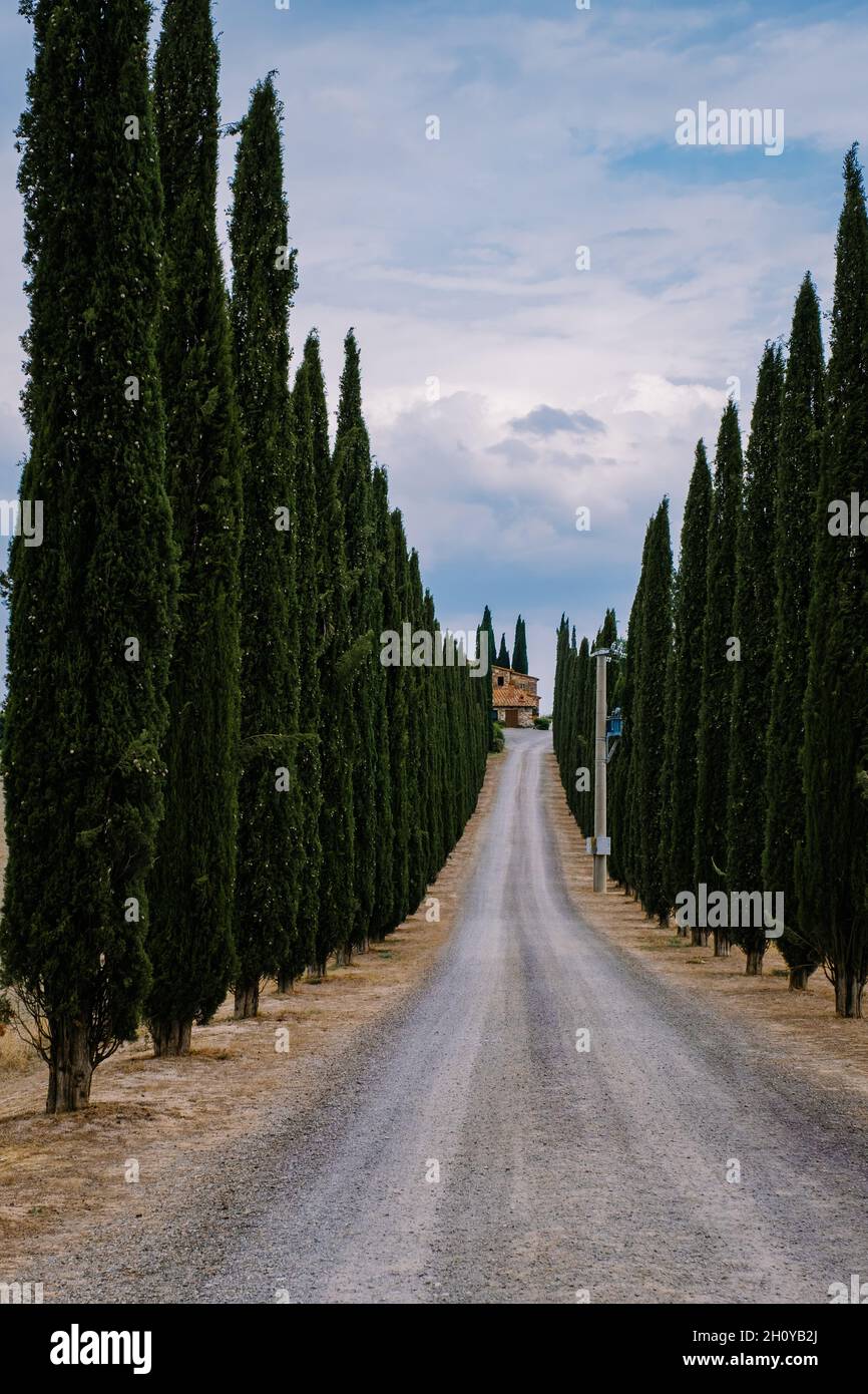 Toskana Italien, perfekte Straße Avenue durch Zypressen ideale toskanische Landschaft Italien Stockfoto