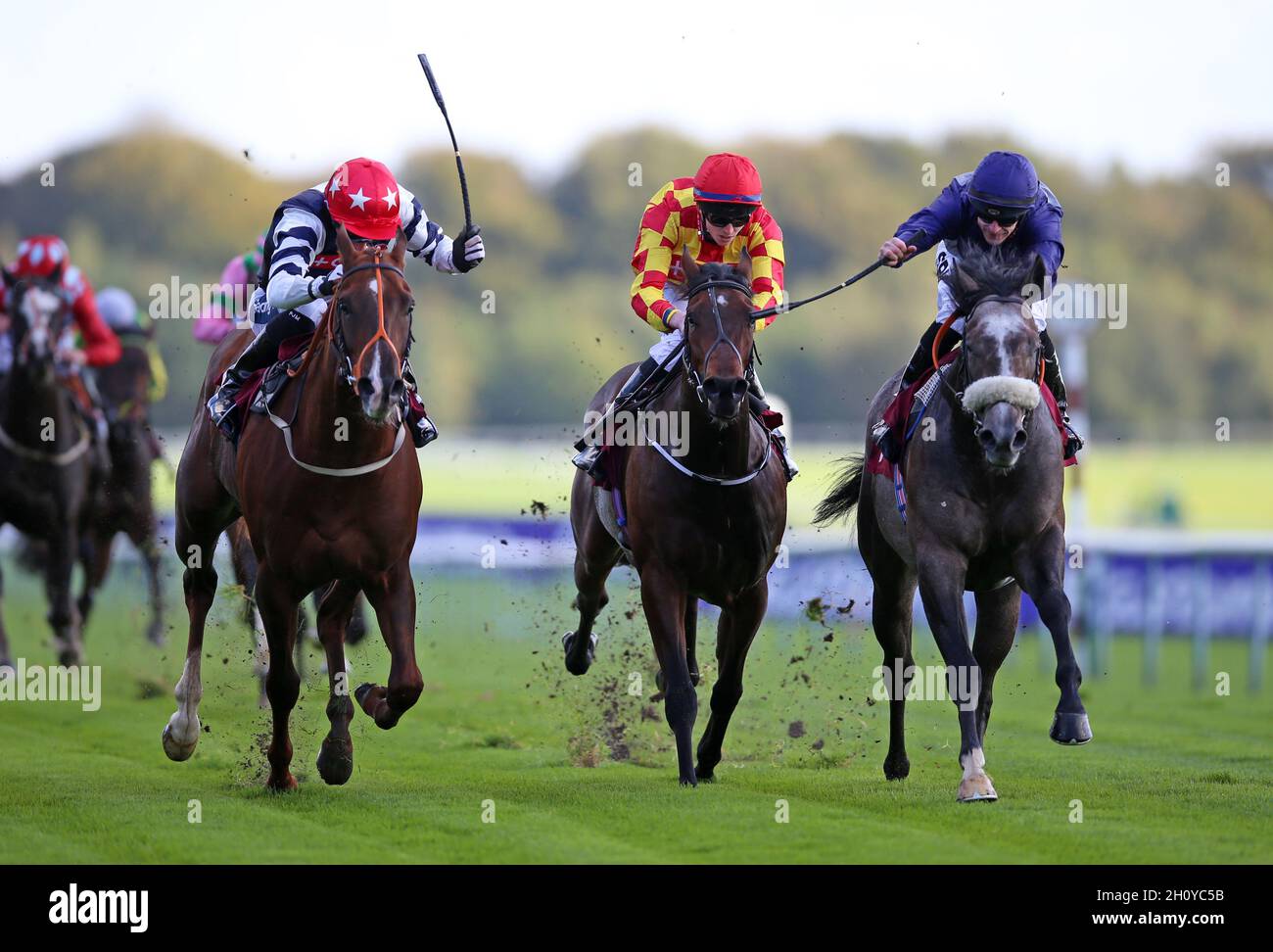 Texas man geritten von Paul Mulrennan (links) gewinnt die Casumo Bet 10 Holen Sie sich 10 Nursery während des Casumo Flat Finale auf Haydock Park Racecourse. Bilddatum: Freitag, 15. Oktober 2021. Stockfoto