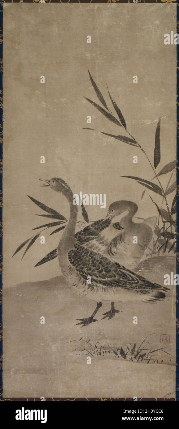 Gänse, Anfang des 16. Jahrhunderts bis Mitte des 19. Jahrhunderts. Japan, Edo-Zeit (1615-1868). Hängende Schriftrolle; Tinte auf Papier; Bild: 142.8 x 64.2 cm (56 1/4 x 25 1/4 Zoll). Stockfoto