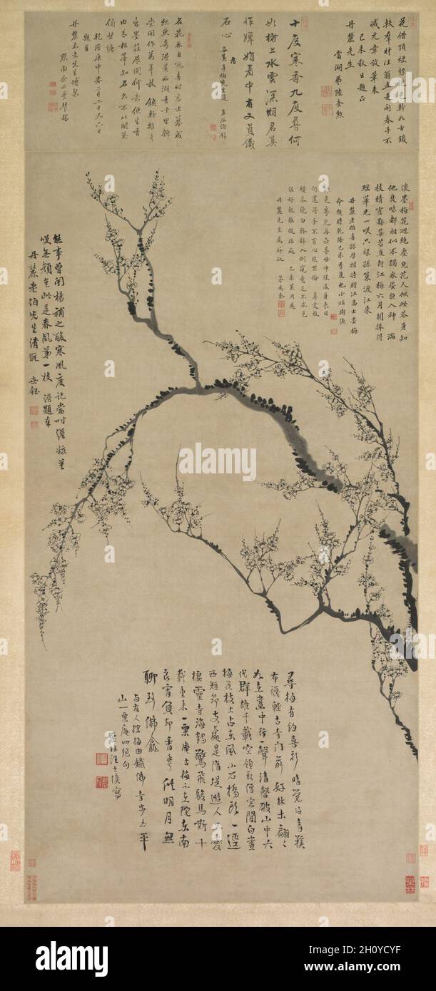 Pflaume Blüten, 1747. Wang Shishen (Chinesisch, 1686-1759). Hängerolle, Tusche auf Papier; gesamt: 142,7 x 75,5 cm (56 1/4 x 29 3/4 in.). Stockfoto