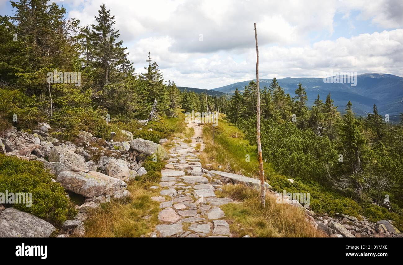 Wanderweg in Karkonosze (Riesengebirge), Tschechische Republik. Stockfoto