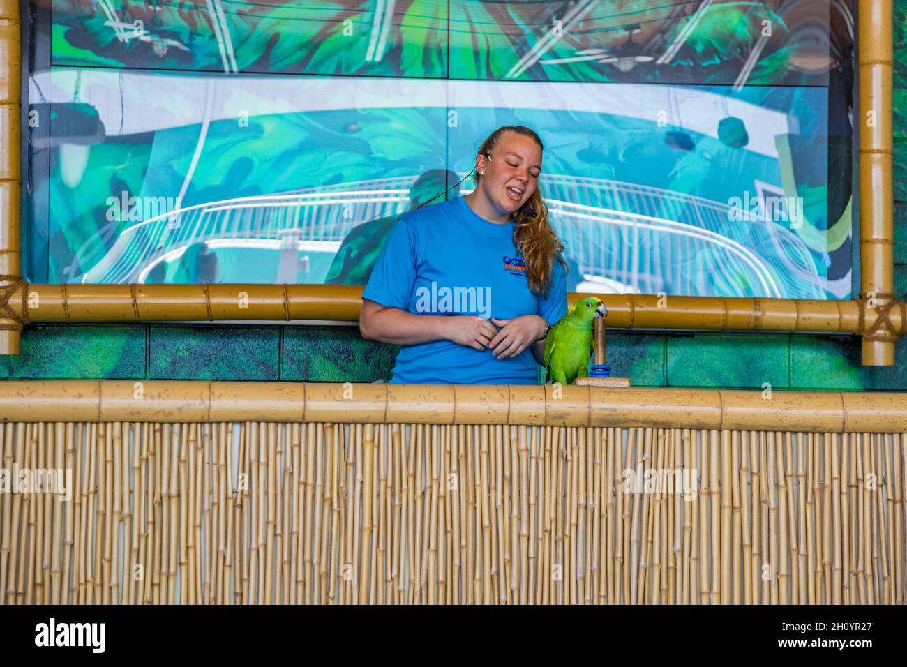 Trainer unterhält Gäste mit Papagei im Regenwald-Vogelhaus im Ocean Adventures Marine Park in Gulfport, Mississippi Stockfoto