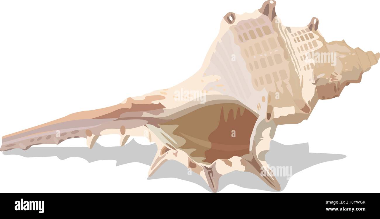 Bunte tropische Schale, Vektor-Illustration. EPS-10 durch Gruppen und Ebenen getrennt für eine einfache Bearbeitung. Stock Vektor