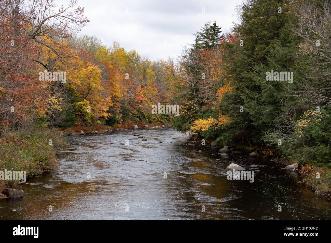 Blick auf den Sahandaga River in den Adirondack Mountains, NY, Wildnis im Herbst mit Herbstlaub und Farbe. Stockfoto