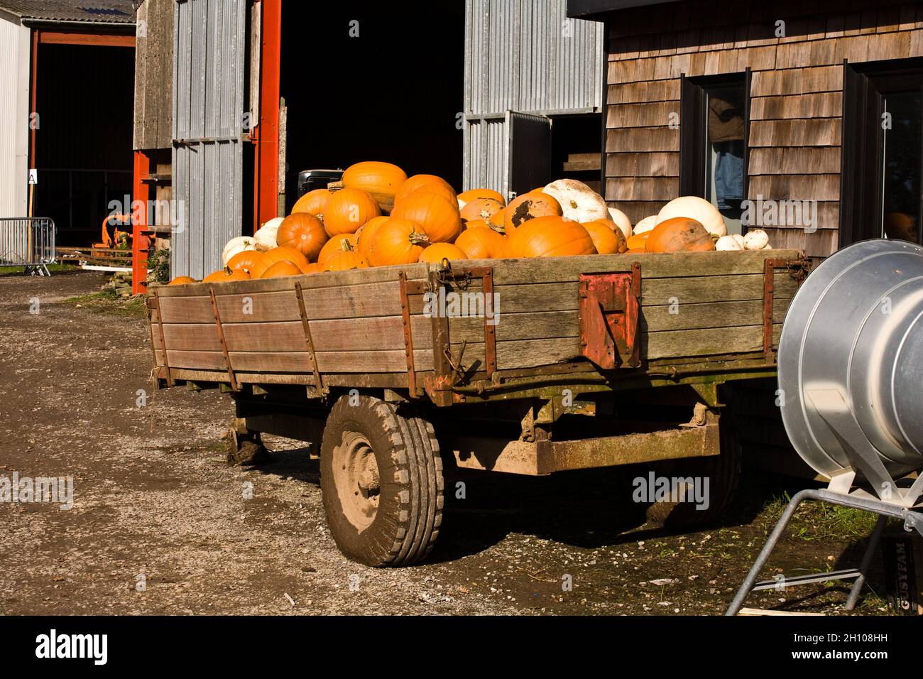 Haufen von Kürbissen in einem Bauernhof Anhänger an einem sonnigen Tag. Stockfoto