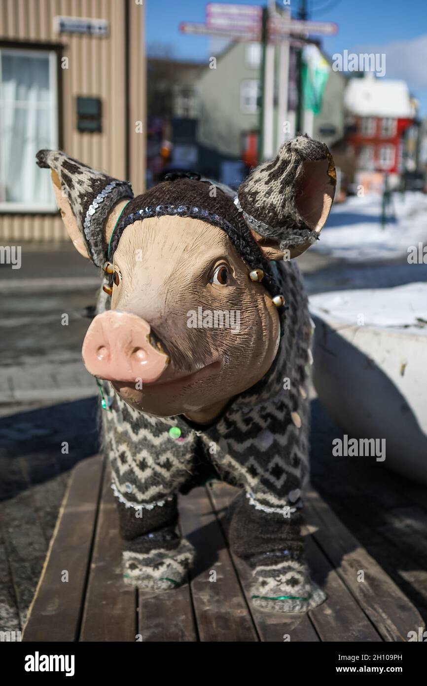 REYKJAVIK, ISLAND - 11. Juni 2021: Eine Schweinestatue in traditionellem isländischem Wollpullover Lopapeysa, vor dem Saeta Svinid Gastropub. Stockfoto