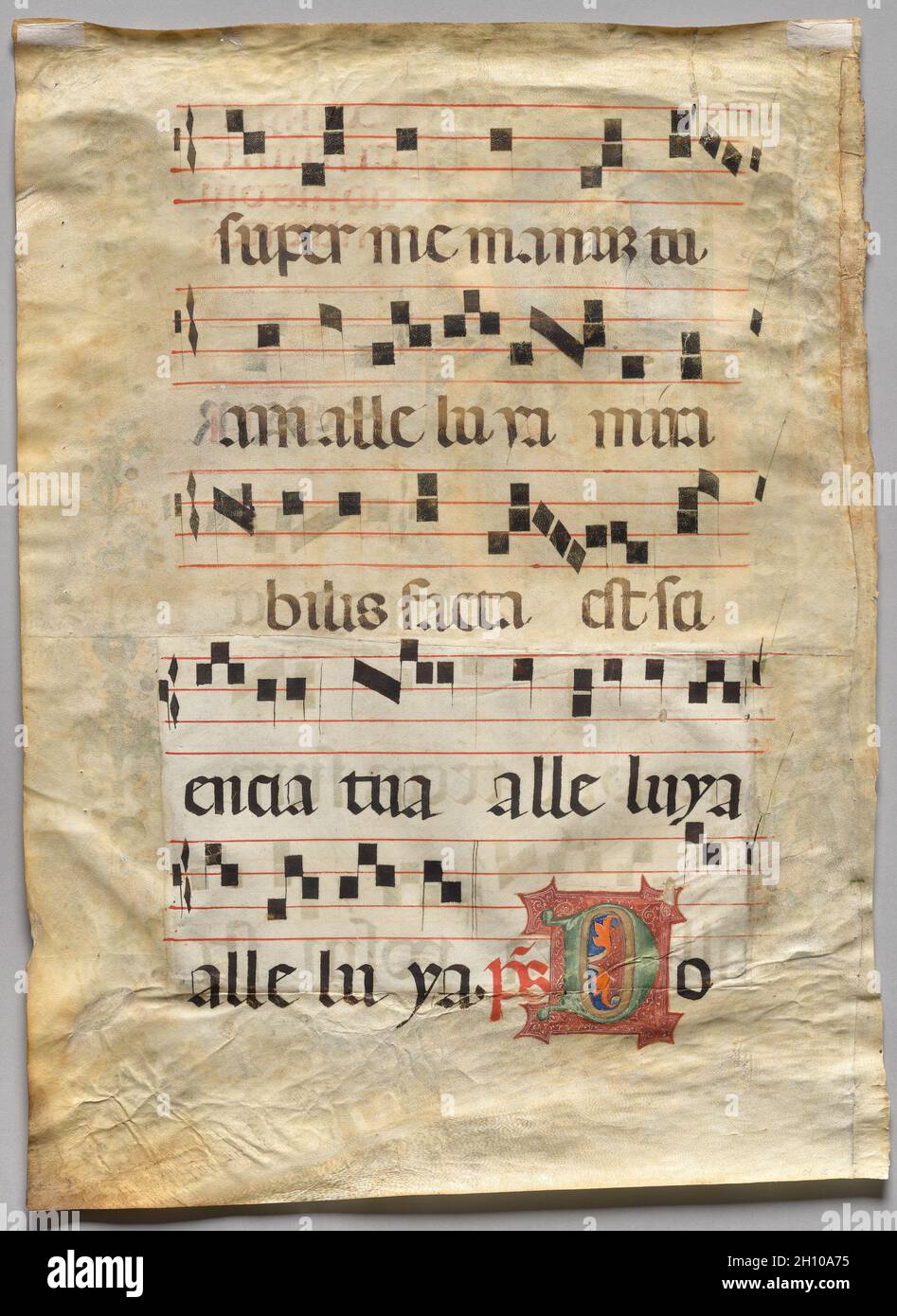 Blatt aus einem graduellen: Historisiertes Initial R: Initiales D (verso), Mitte des 1300er-Jahrhunderts. Italien, Neapel. Tinte, Tempera und Gold auf Pergament; Blatt: 55 x 40 cm (21 5/8 x 15 3/4 Zoll). Dieses Blatt wurde aus einem graduellen, großen Band mit Liedern für die Messe entnommen. Dieses einzelne Blatt zeigt die Einführungspassage zum Ostersonntag. Das anfängliche R ist gefüllt mit der Darstellung der Auferstehung Christi. Die Darstellung des Heiligen Franziskus von Assisi in der Blumendekoration weist auf einen Ursprung aus einem Franziskanerkloster hin. Aufgrund der großen Pest waren die Bettelorden, zu denen die Franziskaner gehörten, die Stockfoto