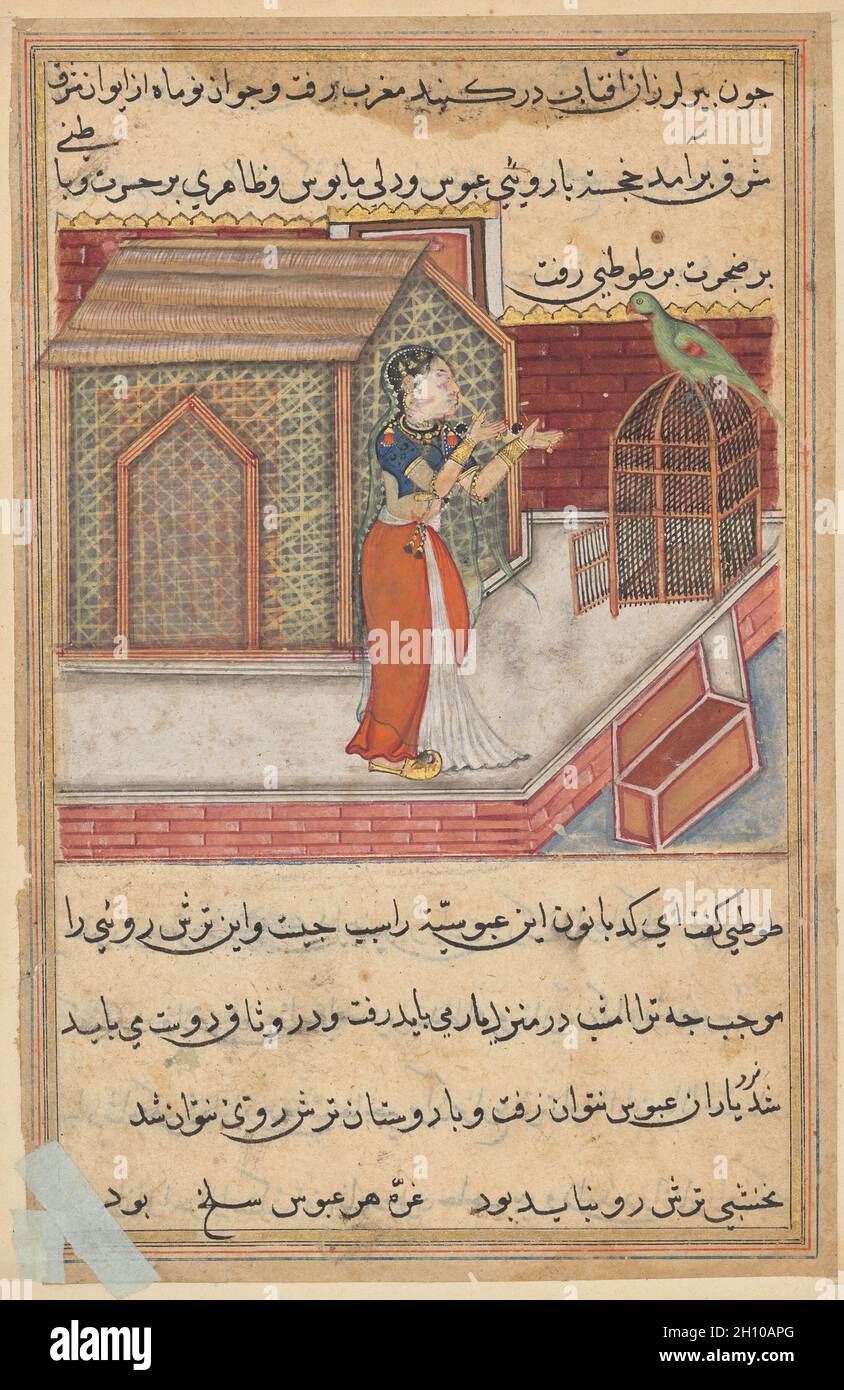 Der Papagei Adressen Khujasta zu Beginn der neunundvierzig Nacht, aus einem Tuti-nama (Geschichten von einem Papagei): Neunundvierzig Nacht, c. 1560. Mughal Indien, Gericht von Akbar (regierte 1556–1605). Undurchsichtige Aquarelle, Tinte und Gold auf Papier; insgesamt: 20.3 x 14 cm (8 x 5 1/2 Zoll); nur Malerei: 8.8 x 10 cm (3 7/16 x 3 15/16 Zoll). In den neunundvierzig von zweiundfünfzig Nächten erzählt Tuti der Weise sprechende Papagei Khujasta eine moralisierende Geschichte über drei Brüder, von denen zwei vorzeitig im Alter waren, während der dritte jung blieb. Die Geschichte dauert bis zum Sonnenaufgang und Khujasta kann ihren Geliebten nicht besuchen. Stockfoto