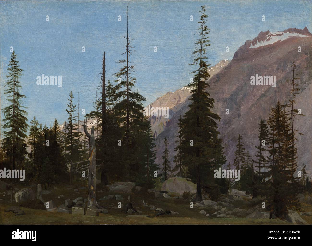 Alpenlandschaft: Die Handegg, Schweiz, 1850er Jahre. Jean-Léon Gérôme (Französisch, 1824-1904). Öl auf Stoff; gerahmt: 36 x 47 x 5.5 cm (14 3/16 x 18 1/2 x 2 3/16 Zoll); ungerahmt: 26.8 x 37 cm (10 9/16 x 14 9/16 Zoll). Dieses Gemälde zeigt einen Berggipfel in der Nähe von Handegg, einem Dorf südlich von Luzern, Schweiz. Hohe Tannenbäume reichen vom dunklen Vordergrund nach oben in Richtung Licht, das den Himmel und schneebedeckte Berge erhellt. Wie Kirchtürme erheben sich die Bäume, die fast die Oberseite der Leinwand berühren und ein Gefühl spirituellen Strebens vermitteln. Dieser Ausdruck der romantischen, fast religiösen gesendet Stockfoto