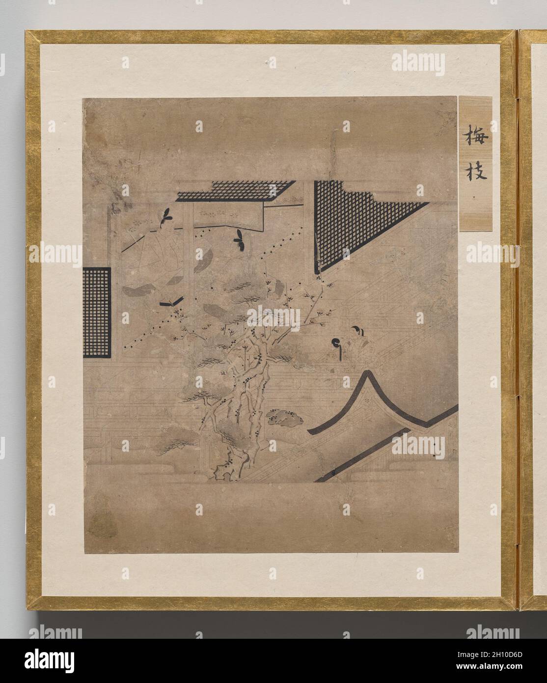 Zweig der Pflaume aus dem Album der Illustrationen für die Geschichte des Genji, 1600. Japan, Edo-Zeit (1615-1868). Akkordeon-Album; Tinte, helle Farbe und Gold auf Papier; jedes Blatt: 26.3 x 22 cm (10 3/8 x 8 11/16 Zoll); nur auf dem Bild: 17 x 20.6 cm (6 11/16 x 8 1/8 Zoll). Dieses Album enthält Illustrationen zum klassischen literarischen Werk The Tale of Genji, das in den 1000er Jahren von Murasaki Shikibu, einem Aristokraten des Heian-Hofes (794–1185), verfasst wurde. Die Szenen sind in der „weißen Zeichnung“ gemalt (hakuby?) Modus, in dem eine feine Tintenlinie verwendet wird, um Zahlen und Räume mit großer Subtilität darzustellen, nur mit occ-Interpunktion Stockfoto