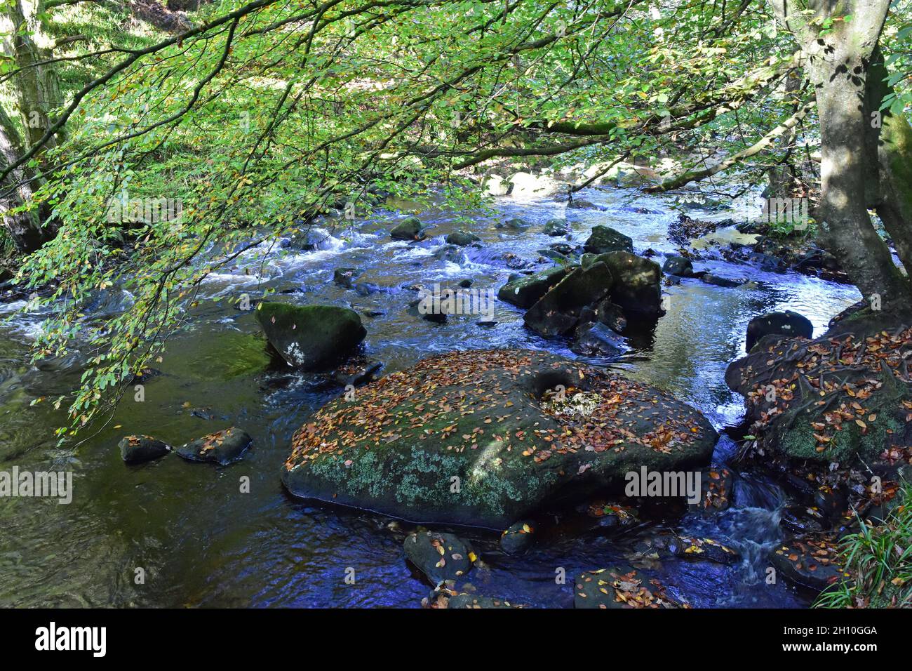 Der Fluss Hebden Water, Hard Castle Crags, im Herbst, Hebden Bridge, West Yorkshire Stockfoto