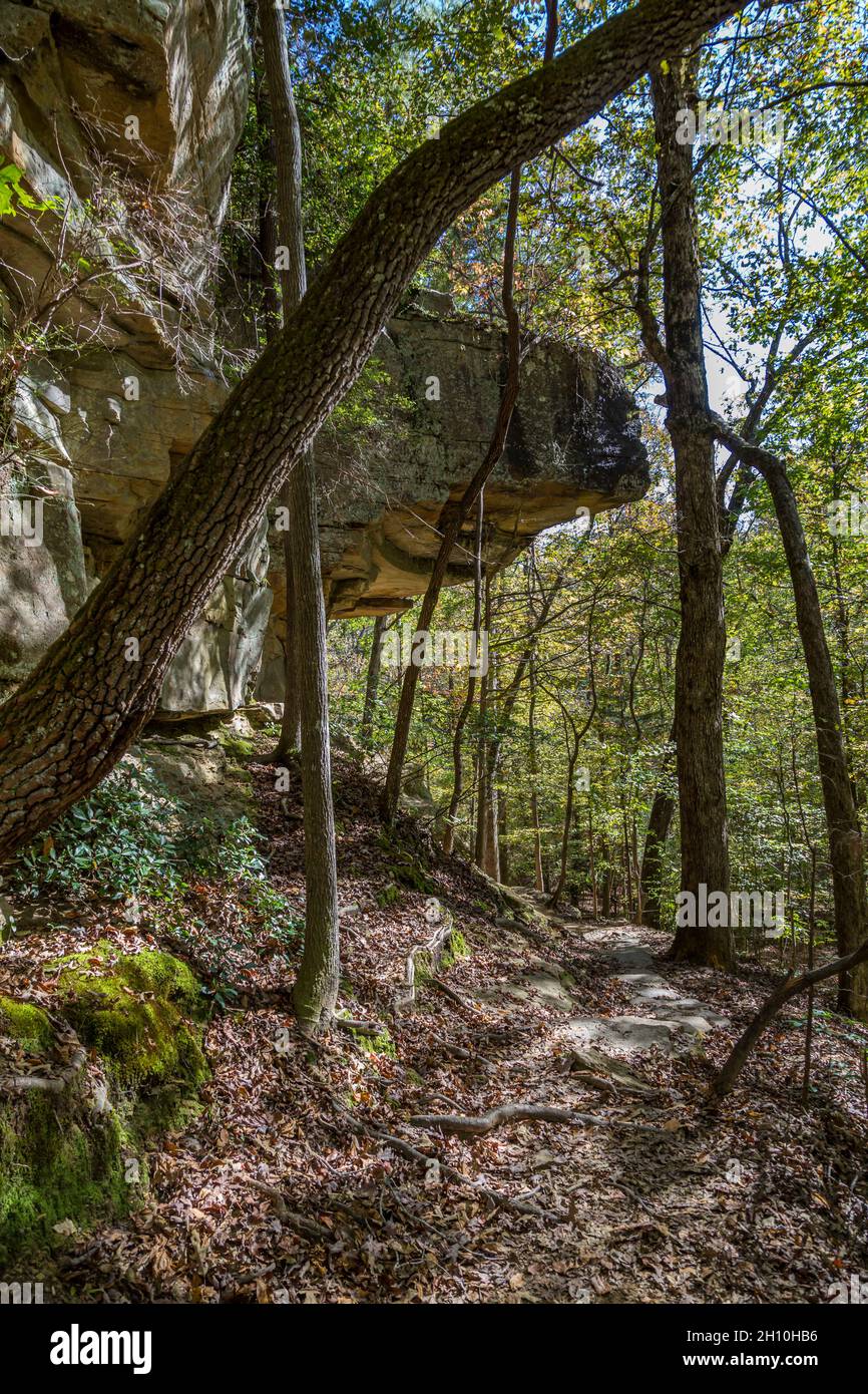 Felsvorsprung entlang des Wanderweges im Tishomingo State Park im Nordosten von Mississippi Stockfoto