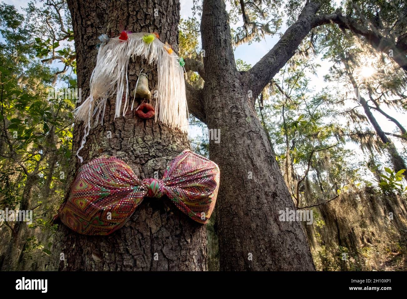 Hula Girl Tree - in der Nähe von Edisto Island, South Carolina, USA Stockfoto