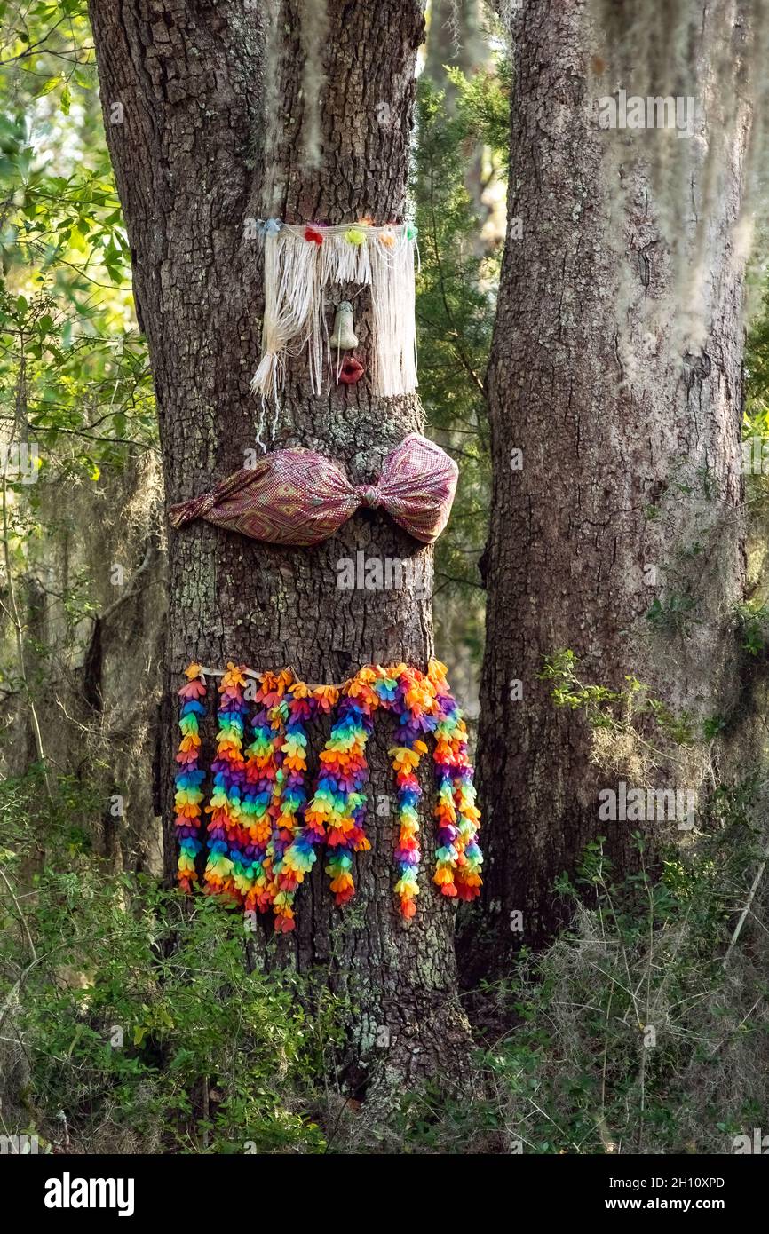 Hula Girl Tree - in der Nähe von Edisto Island, South Carolina, USA Stockfoto