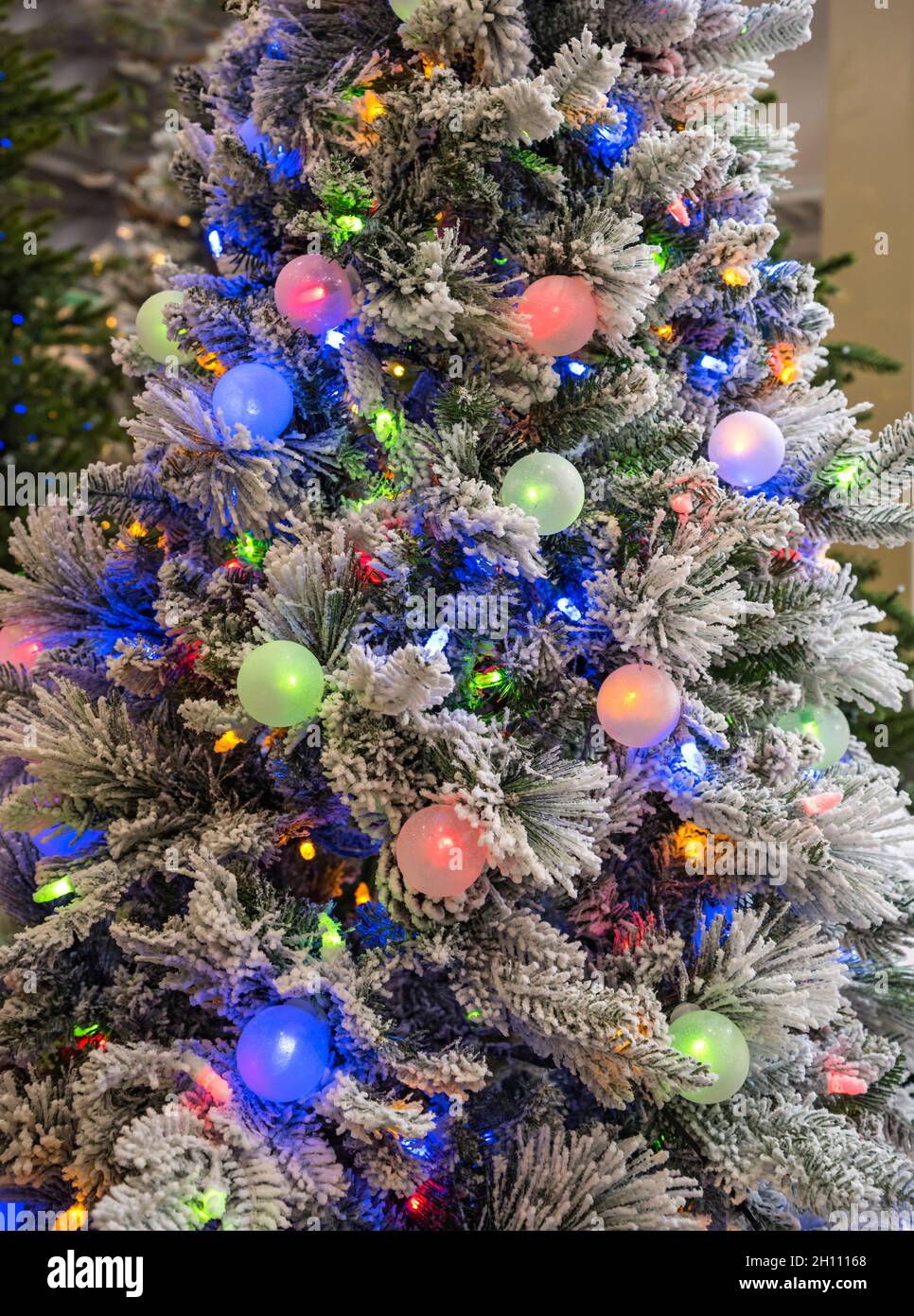 Weihnachtsdekorationen zum Verkauf in einem Baumarkt, North Florida. Ein voll dekorierter Weihnachtsbaum steht zum Verkauf, komplett mit Lichtern Stockfotografie