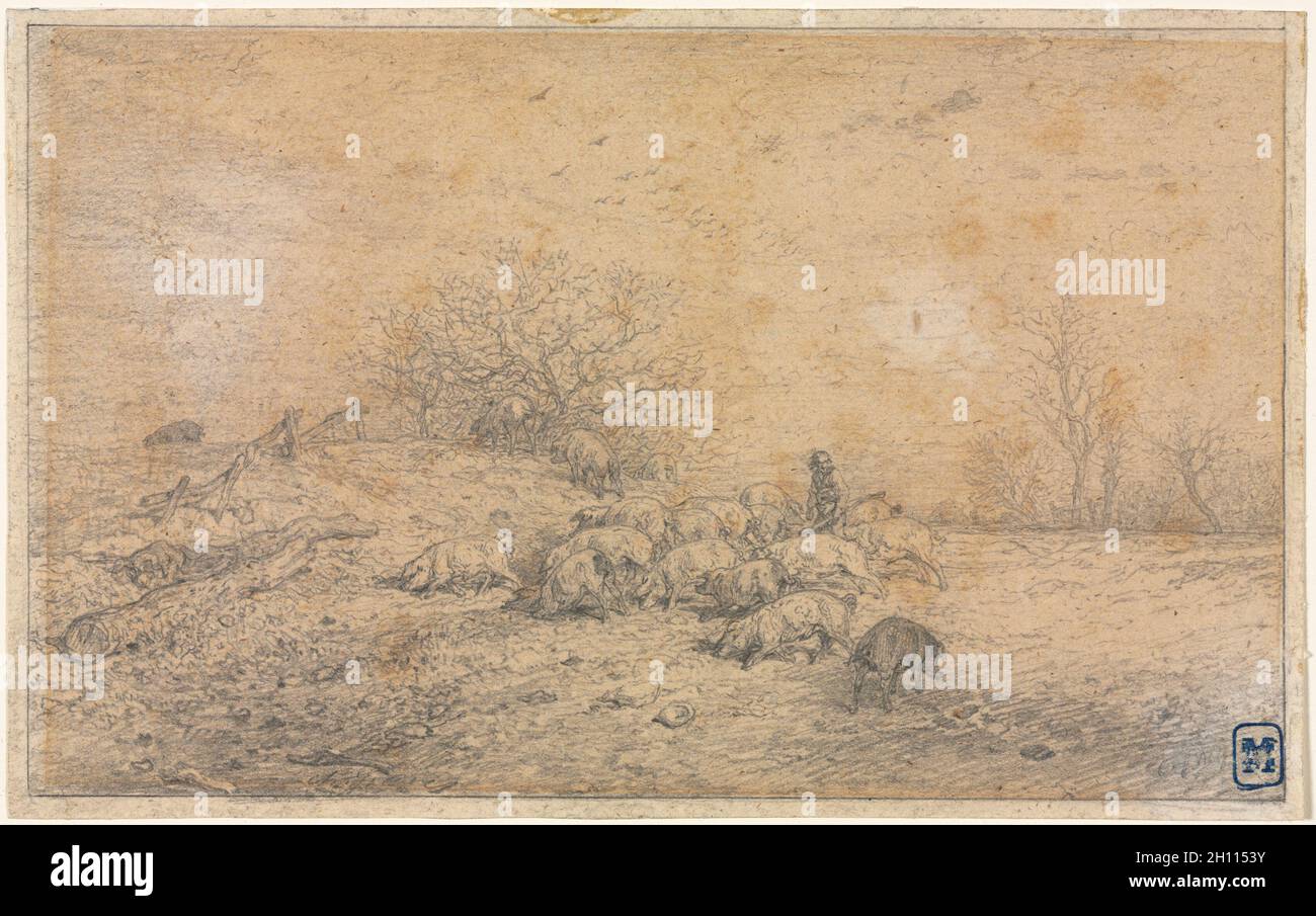 Herde Schweine, C. 1845. Charles-Émile Jacque (Französisch, 1813-1894). Graphit; framing Linien in Graphit; Blatt: 13,8 x 22,2 cm (5 5/6 x 8 3/4 in.); Bild: 13,2 x 21,5 cm (5 3/16 x 8 7/16 in.). Stockfoto