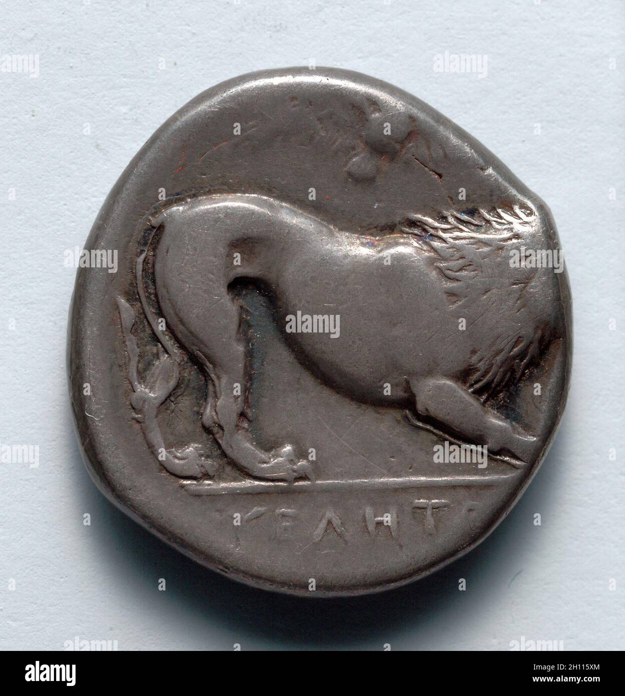 Stater: Prowling Lion, ΥΕΛΗΤ[ΟΝ] (Reverse), 300 v. Chr. Griechenland, Velia (Lucania). Silber; Durchmesser: 1.9 cm (3/4 in.). Stockfoto