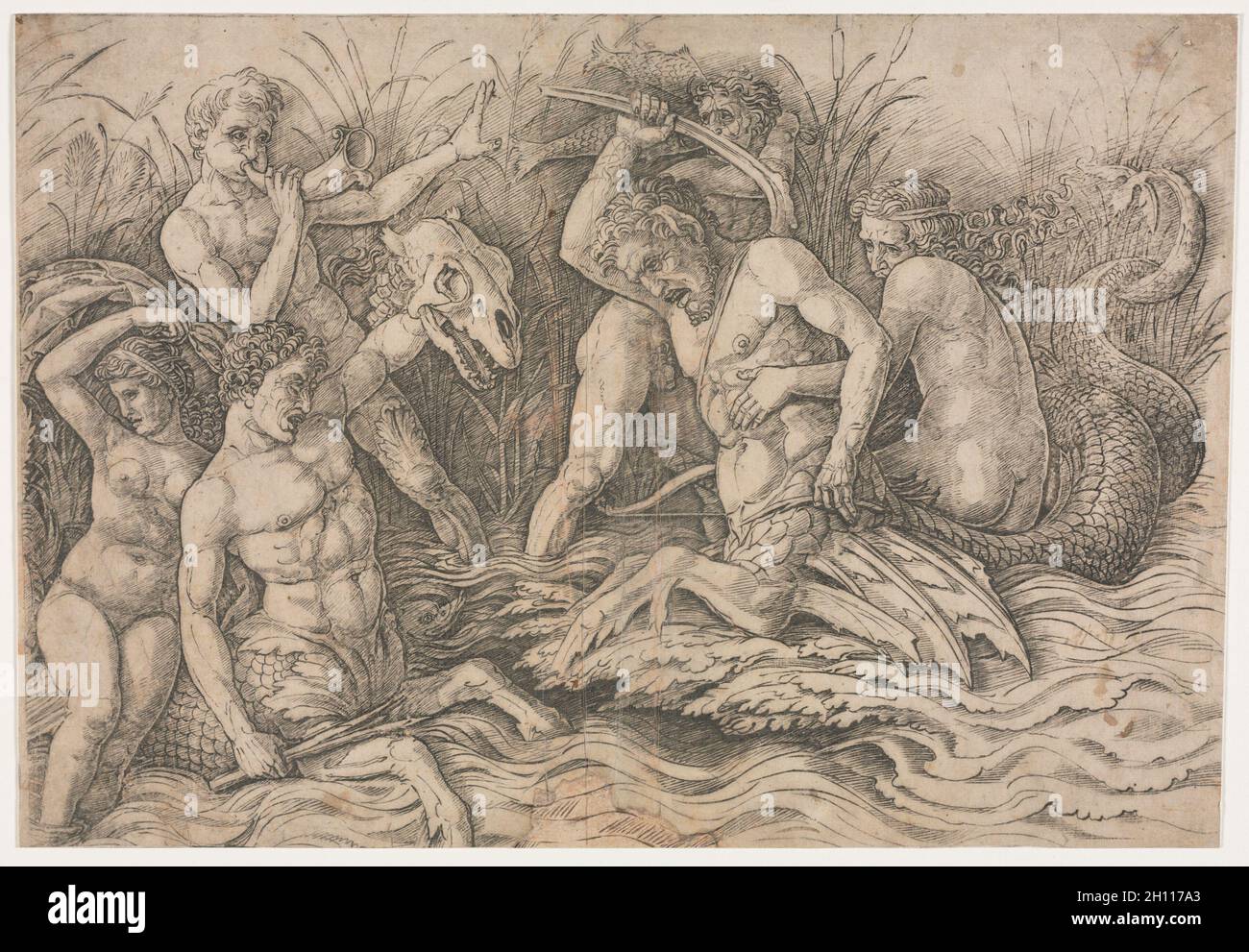 Schlacht der Meeresgötter - rechter Teil, c. 1485-88. Andrea Mantegna (Italienisch, 1431-1506). Gravur; Mattengröße: 47.6 x 63.5 cm (18 3/4 x 25 Zoll); Blatt: 26.8 x 39.3 cm (10 9/16 x 15 1/2 Zoll). Stockfoto