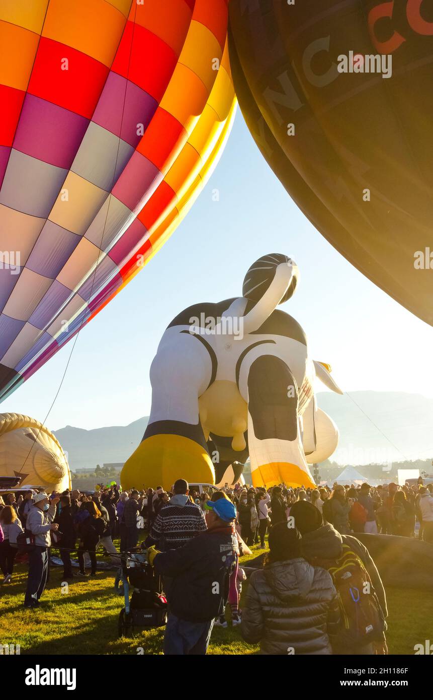 Heißluftballons in Albuquerque New Mexico Stockfoto