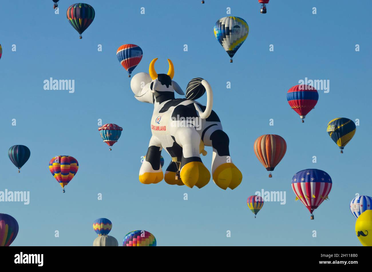 Heißluftballons in Albuquerque New Mexico Stockfoto