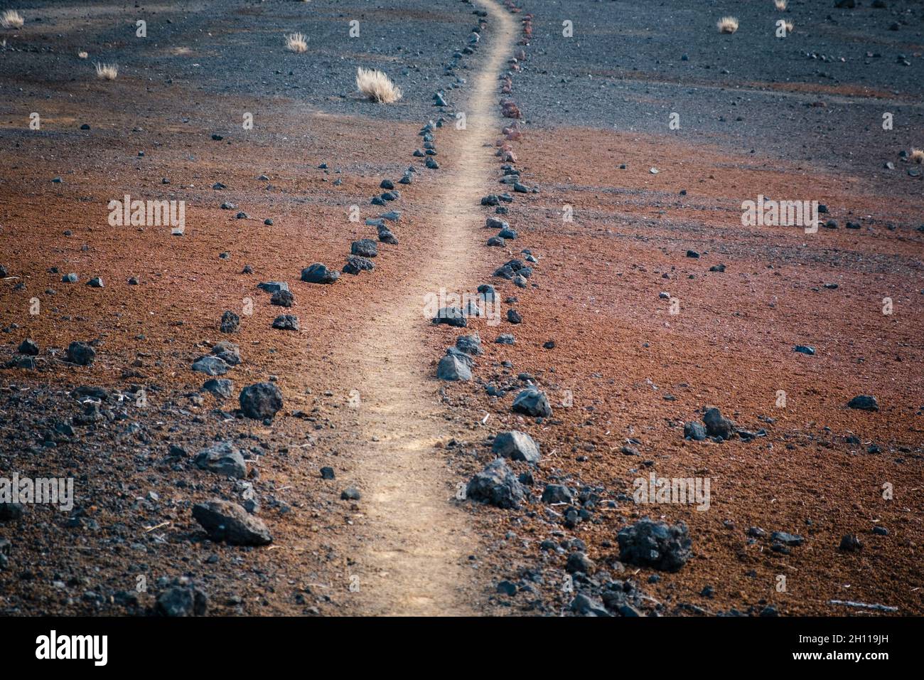 Wanderweg, Feldweg oder Gehweg in der Wüstenlandschaft - Teide Nationalpark auf Teneriffa Stockfoto