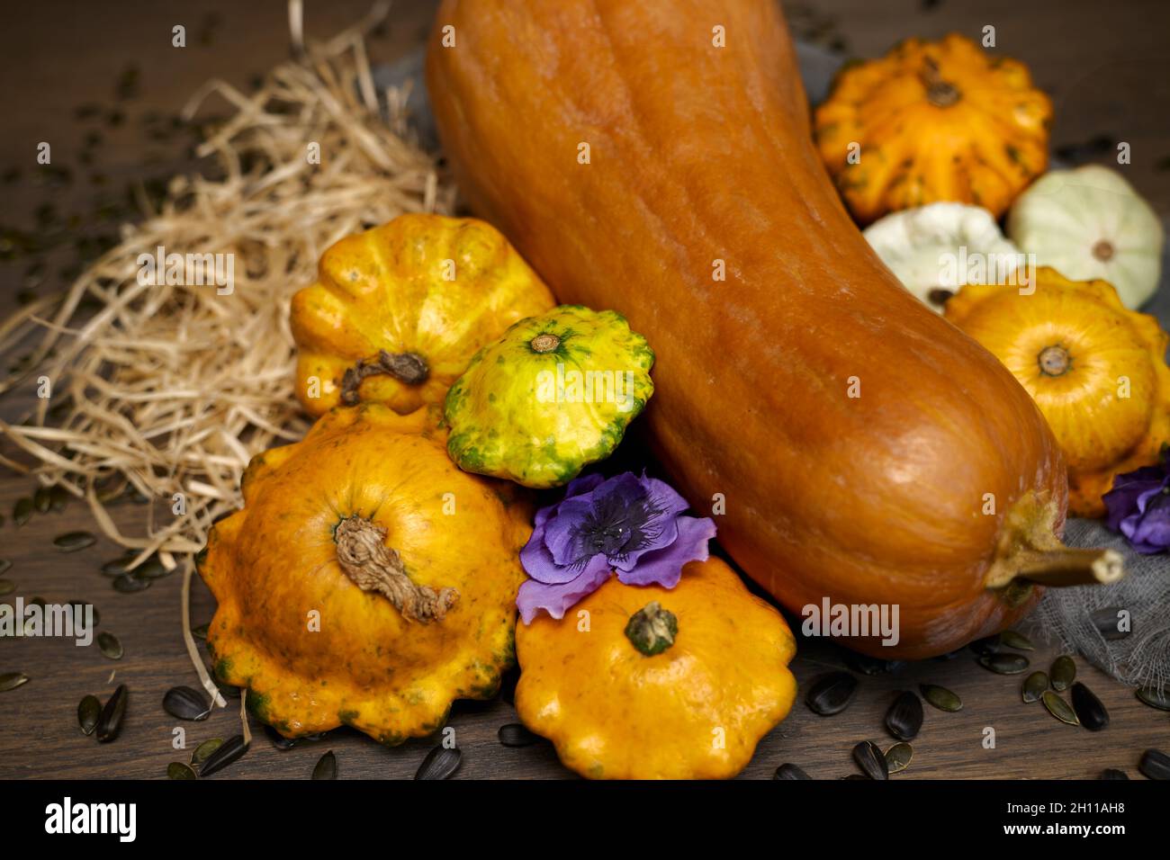 Autum сomposition von buntem Gemüse in der Erntezeit. Kürbis, Zucchini, Rüben- und Sonnenblumenkerne. Stockfoto