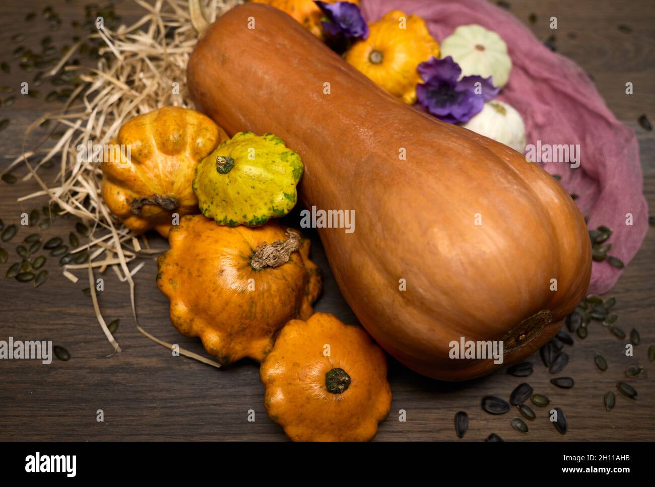 Zusammensetzung von bunten Gemüse in der Erntezeit . Kürbis, Zucchini, Rüben- und Sonnenblumenkerne. Stockfoto