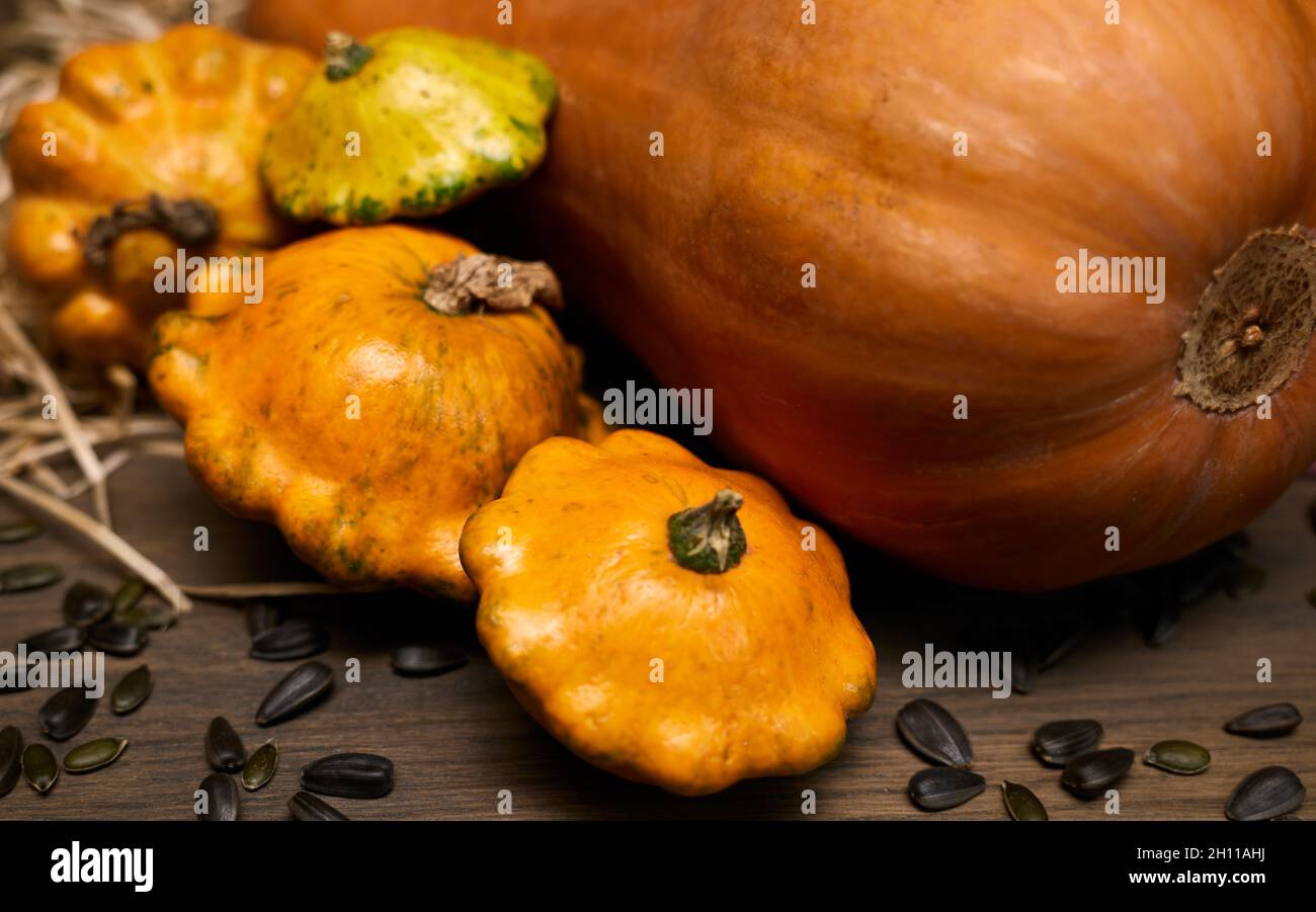 Nahaufnahme mit Komposition von buntem Gemüse in der Erntezeit. Kürbis, Zucchini, Rüben- und Sonnenblumenkerne. Stockfoto
