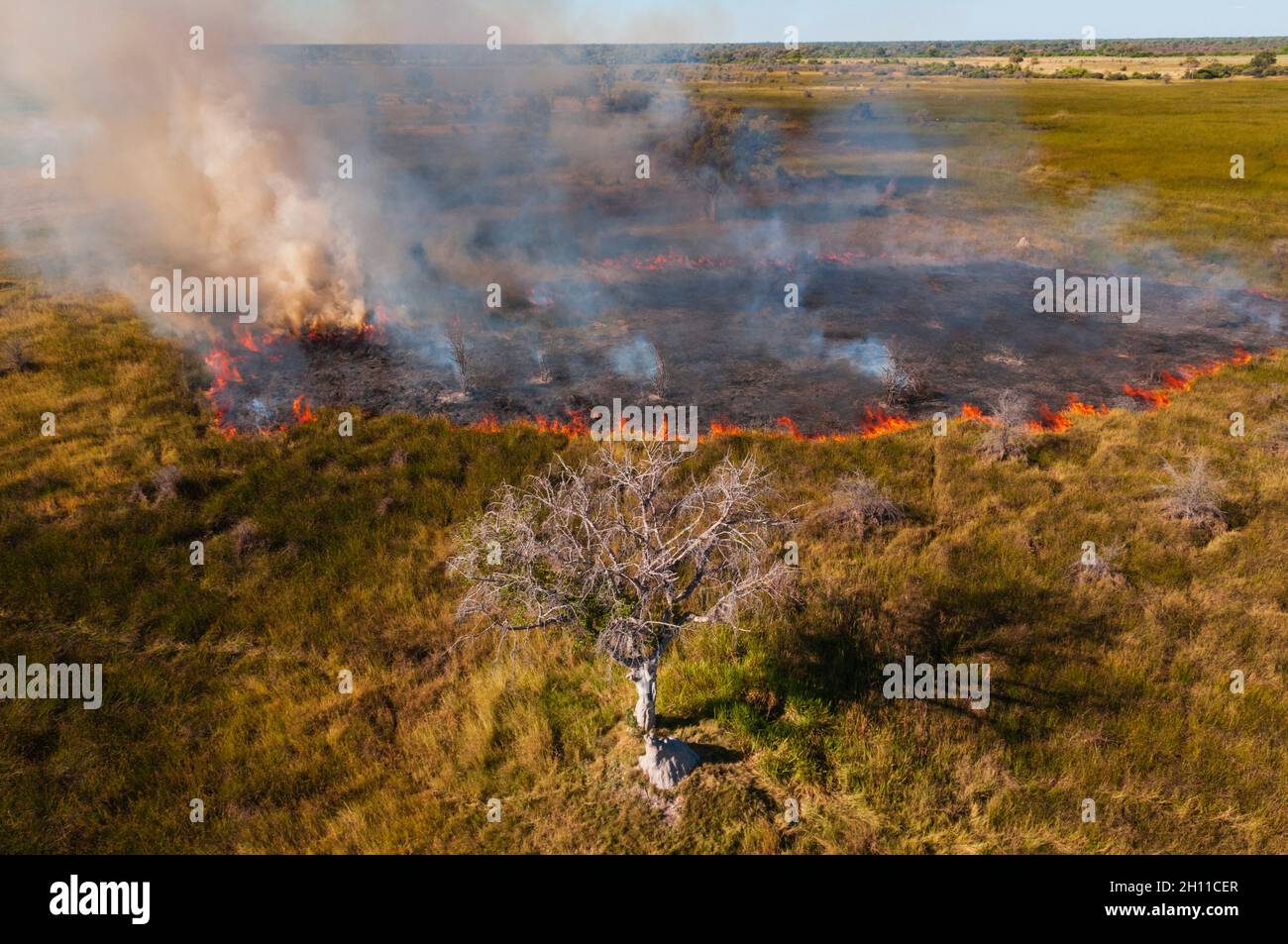 Luftaufnahme eines Buschfeuers im Okavango Delta. Okavango Delta, Botswana. Stockfoto