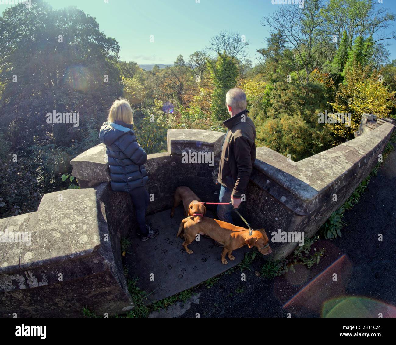 Milton, Glasgow, Großbritannien. Oktober 2021. Wetter in Großbritannien: Sonnig an der Dead Dog Bridge, als Einheimische und Touristen ihre Hunde auf dem Gelände des Overtoun House liefen, wobei sie eine Leine an der weltberühmten Todesfalle für Hunde hatten. Mit dem Geist der Dame overtoun und das gruselige Haus nimmt sie ihren Namen von der angrenzenden Brücke hat das Leben von zahlreichen Hunden wie der Sprung über die Brücke in die Schlucht darunter gefordert. Im Vorfeld von Halloween vermischen sich die grausamen Geschichten seines paranormalen Vibes mit Kindsmord, aber die Haustierspülung macht ihren Namen.“ Quelle: Gerard Ferry/Alamy Live News Stockfoto