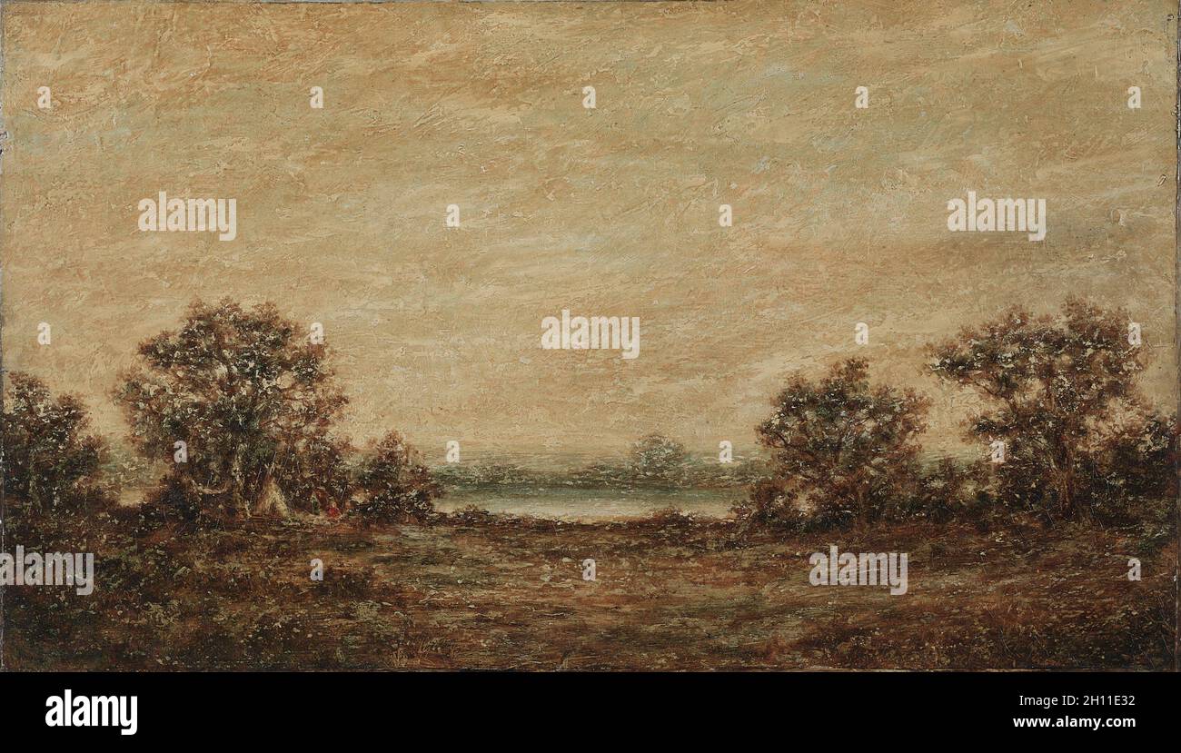 Gelbes Licht, vor 1905. Ralph A. Blakelock (amerikanisch, 1847-1919). Öl auf Leinwand; ungerahmt: 35.5 x 61 cm (14 x 24 Zoll). Stockfoto