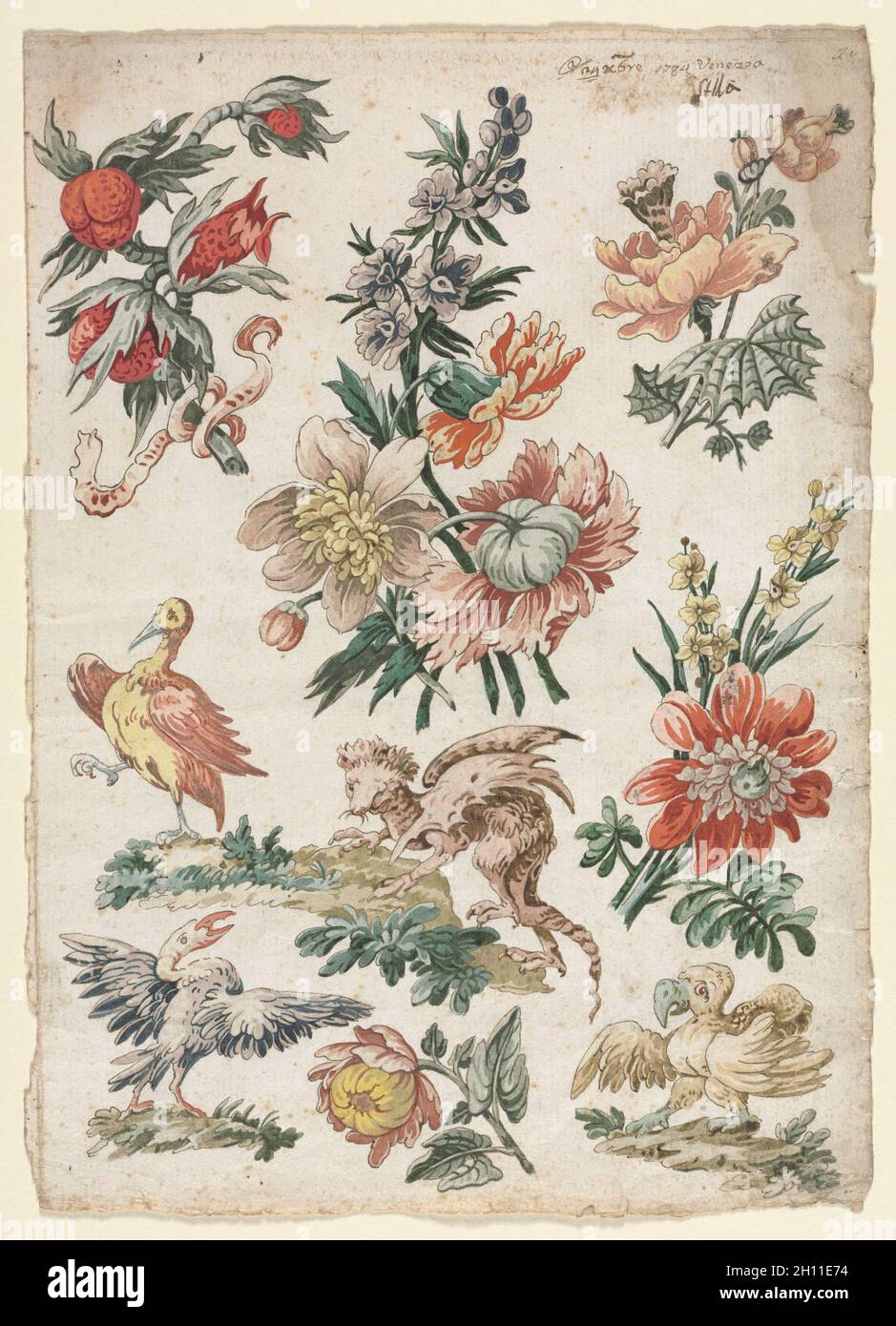 Florale Muster mit Vögeln und Griffon, 1784. Giacomo Cavenezia (Italienisch). Pen und Braun, Pinsel und Braun amd Grau waschen, Aquarell und Gouache; Blatt: 31,9 x 22,7 cm (12 9/16 x 8 15/16 in.). Stockfoto