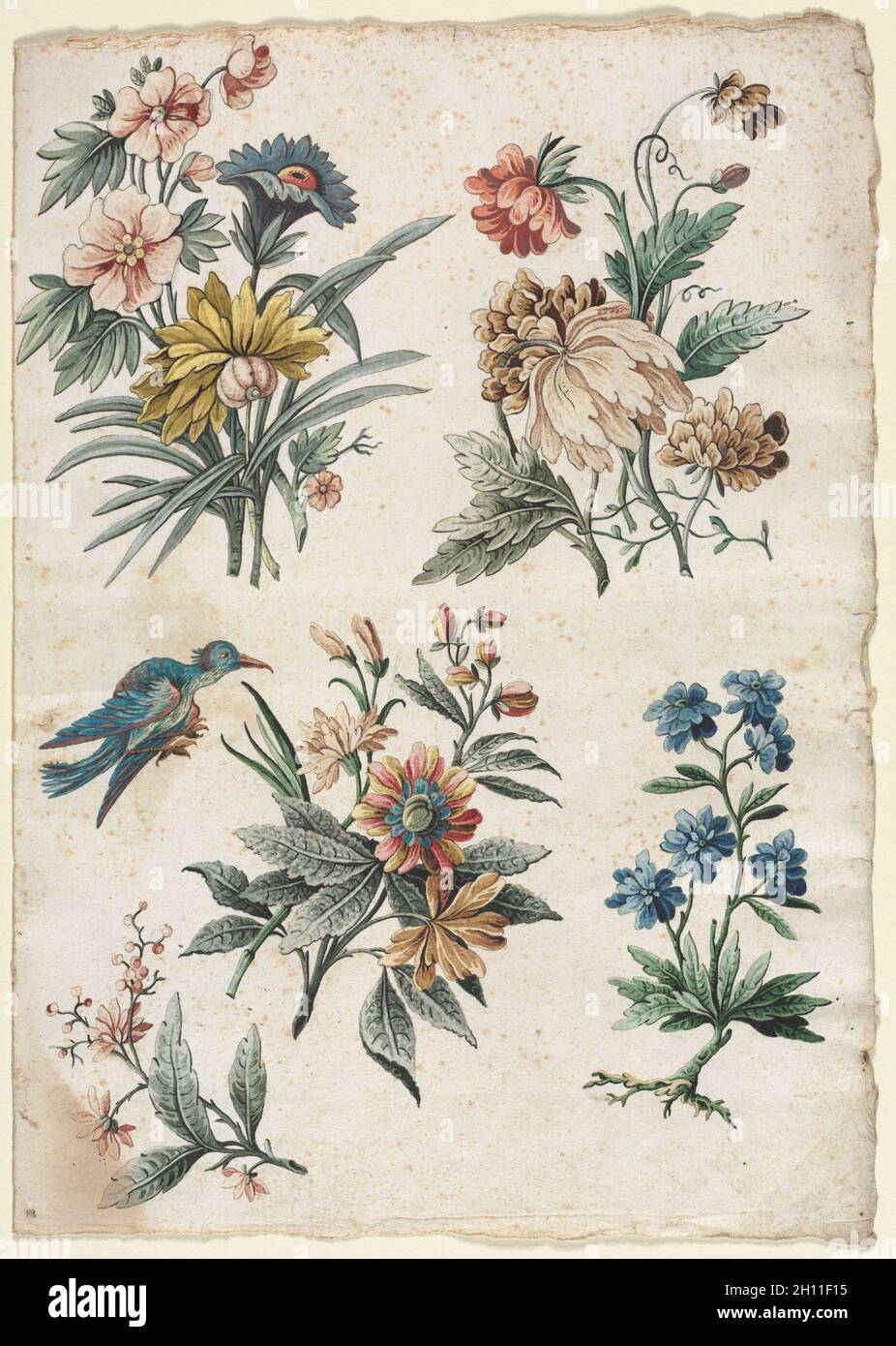 Florale Muster mit einem blauen Vogel, C. 1773/74. Giacomo Cavenezia (Italienisch). Stift und Schwarz und Braun, Pinsel und Schwarz und Braun waschen, Aquarell und Gouache, über Spuren der Schwarze Kreide; Blatt: 32,3 x 22,8 cm (12 11/16 x 9 in.). Stockfoto