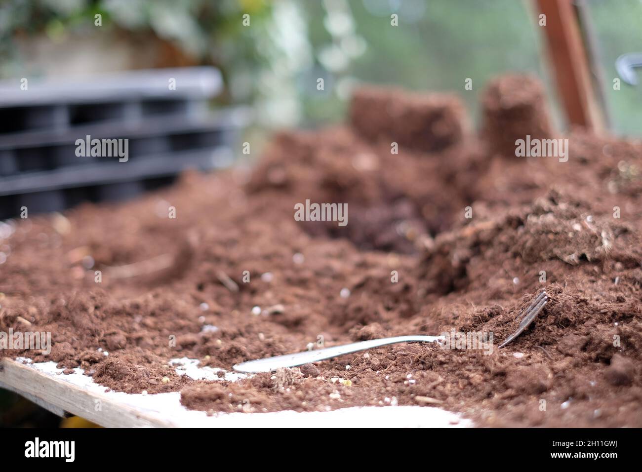 Eintopfschuppen Detail Kompost auf dem Tisch. Flacher Fokus auf der Gabel im Vordergrund. Stockfoto