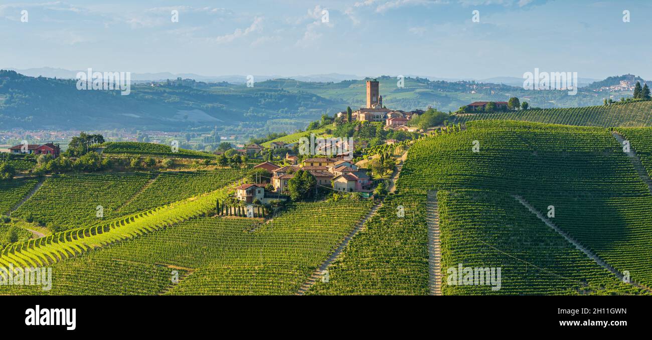Wunderschöne Hügel und Weinberge rund um Barbaresco Dorf in der Langhe Region. Cuneo, Piemont, Italien. Stockfoto